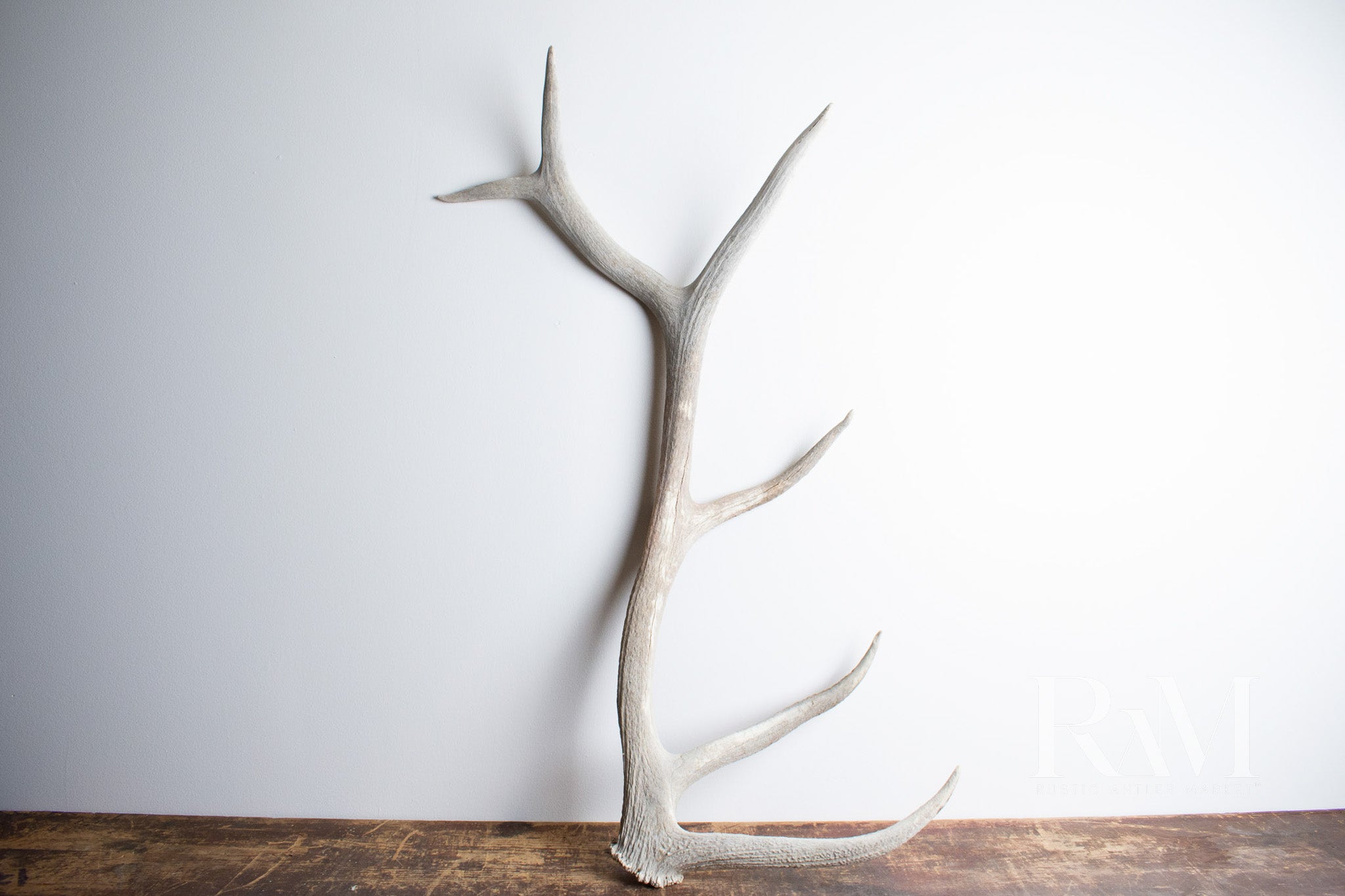 Elk Antler | DF 80
