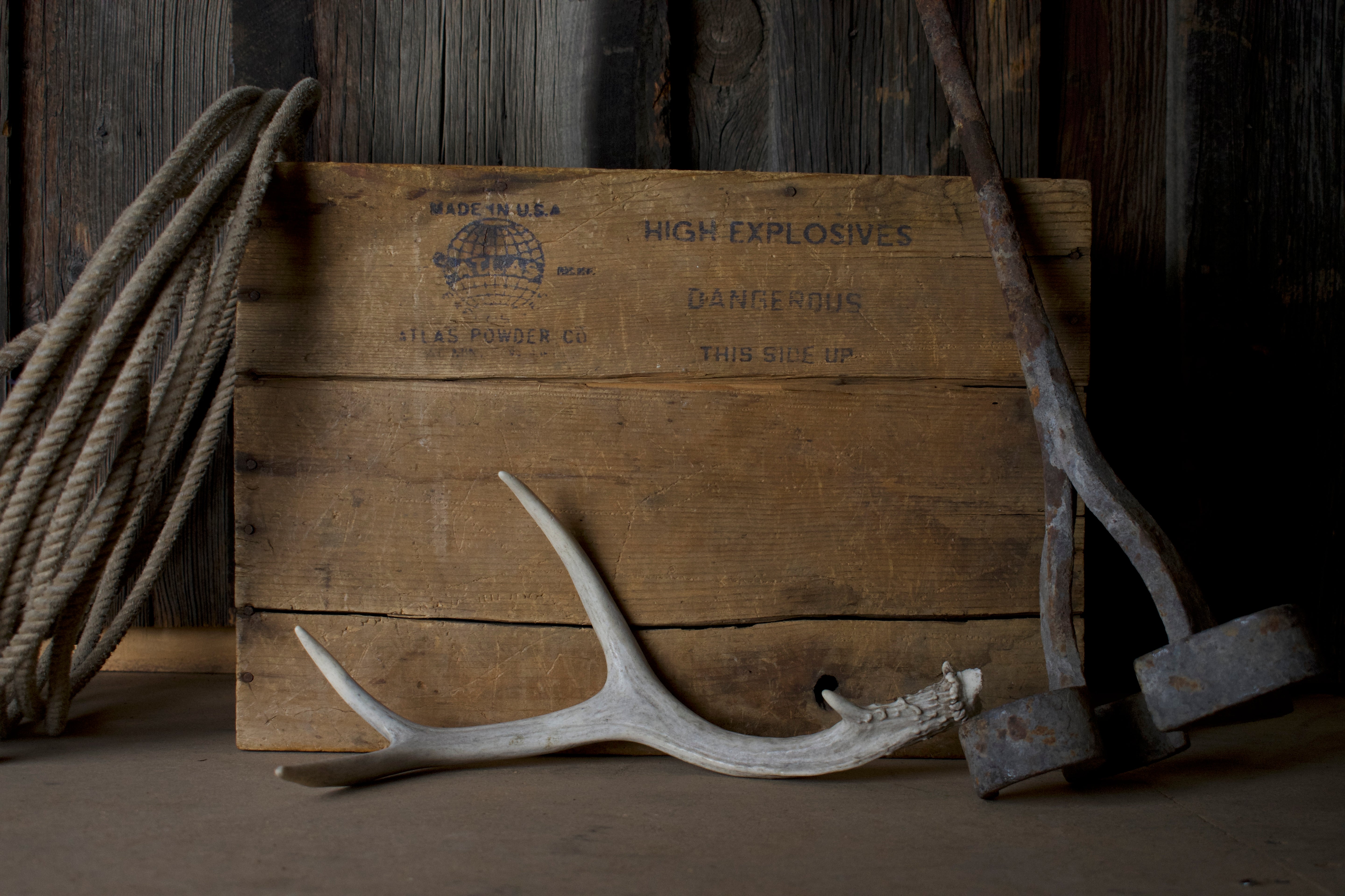 Mule Deer Antler | 24