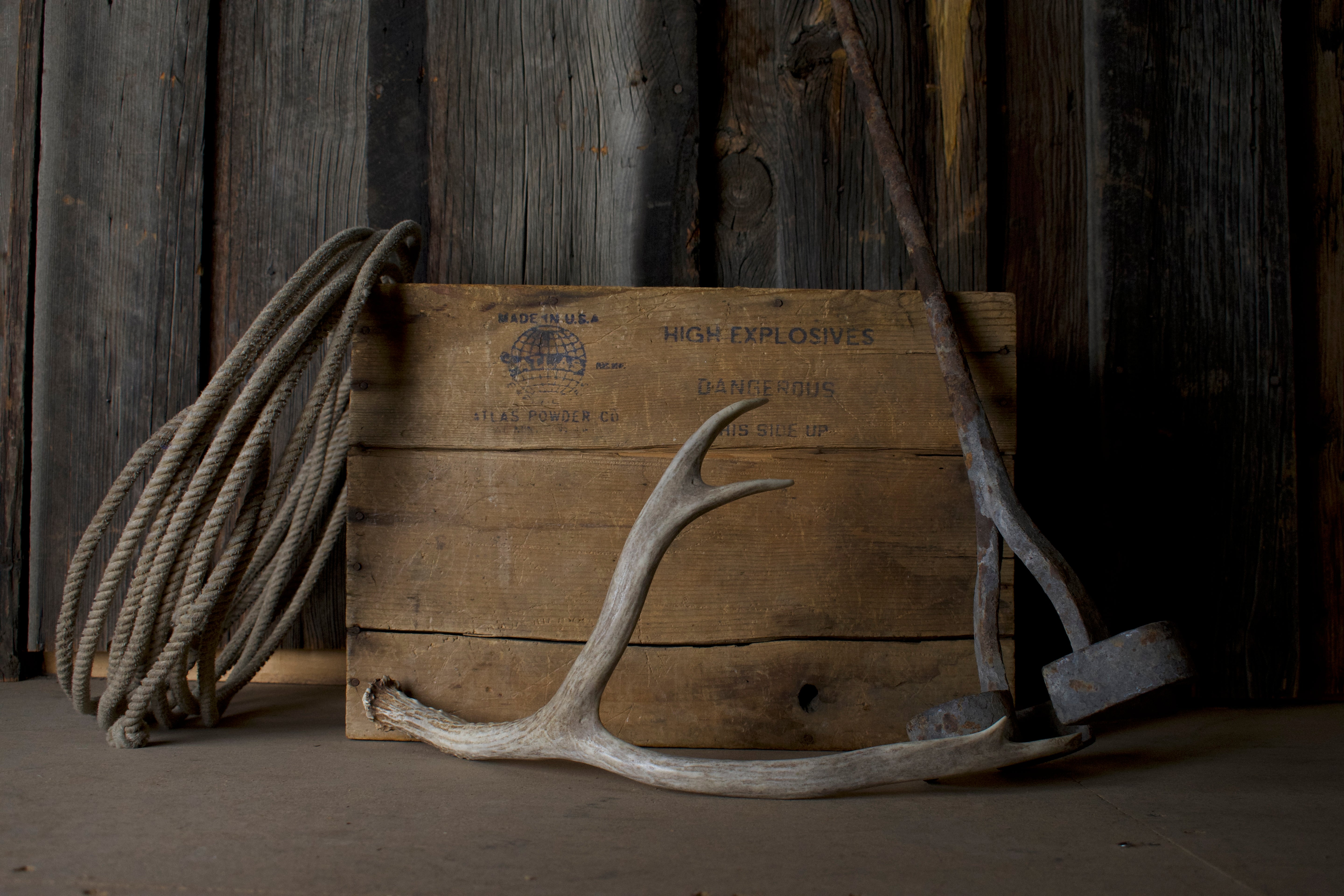 Mule Deer Antler | 29