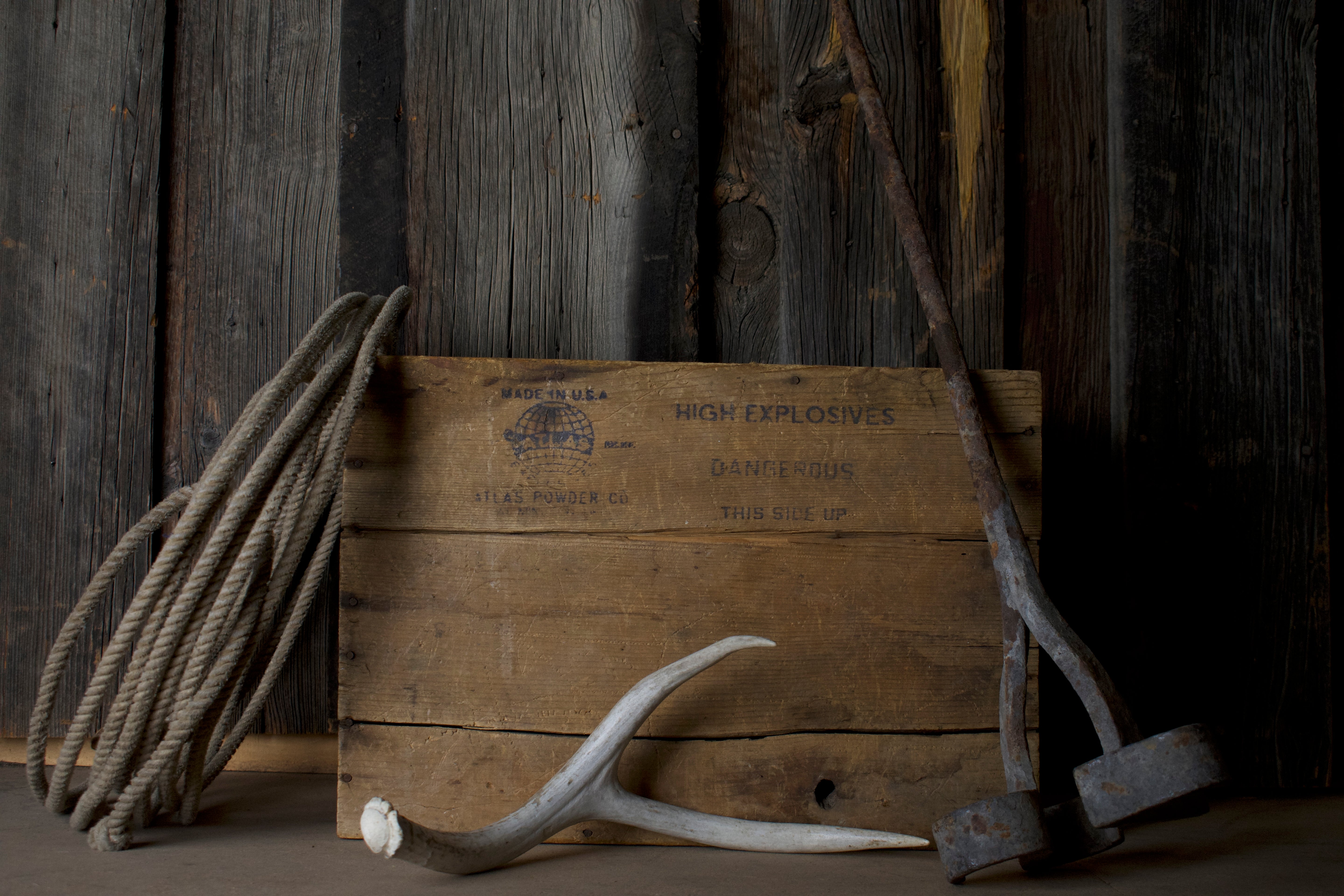 Mule Deer Antler | 32