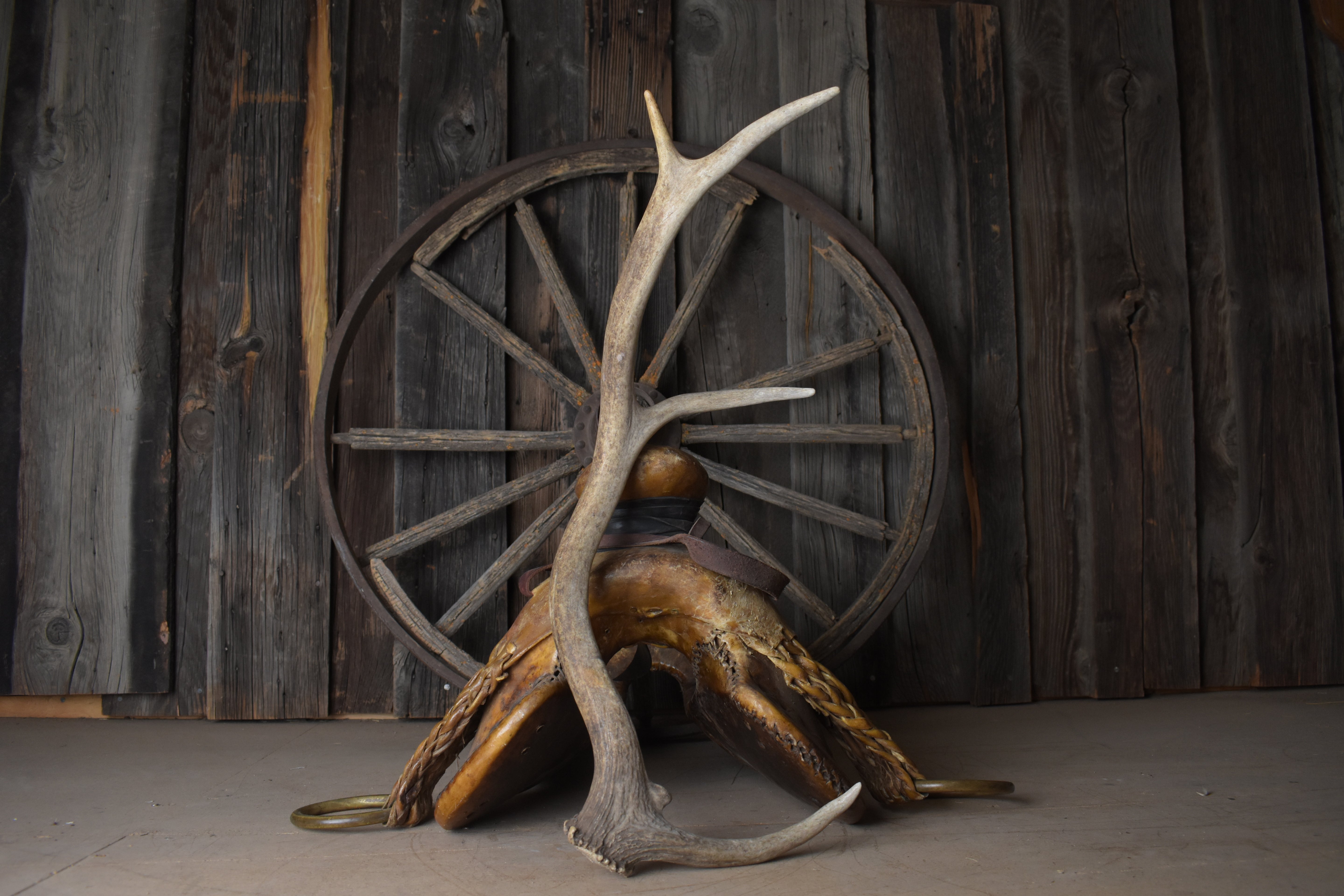 Elk Antler | 73