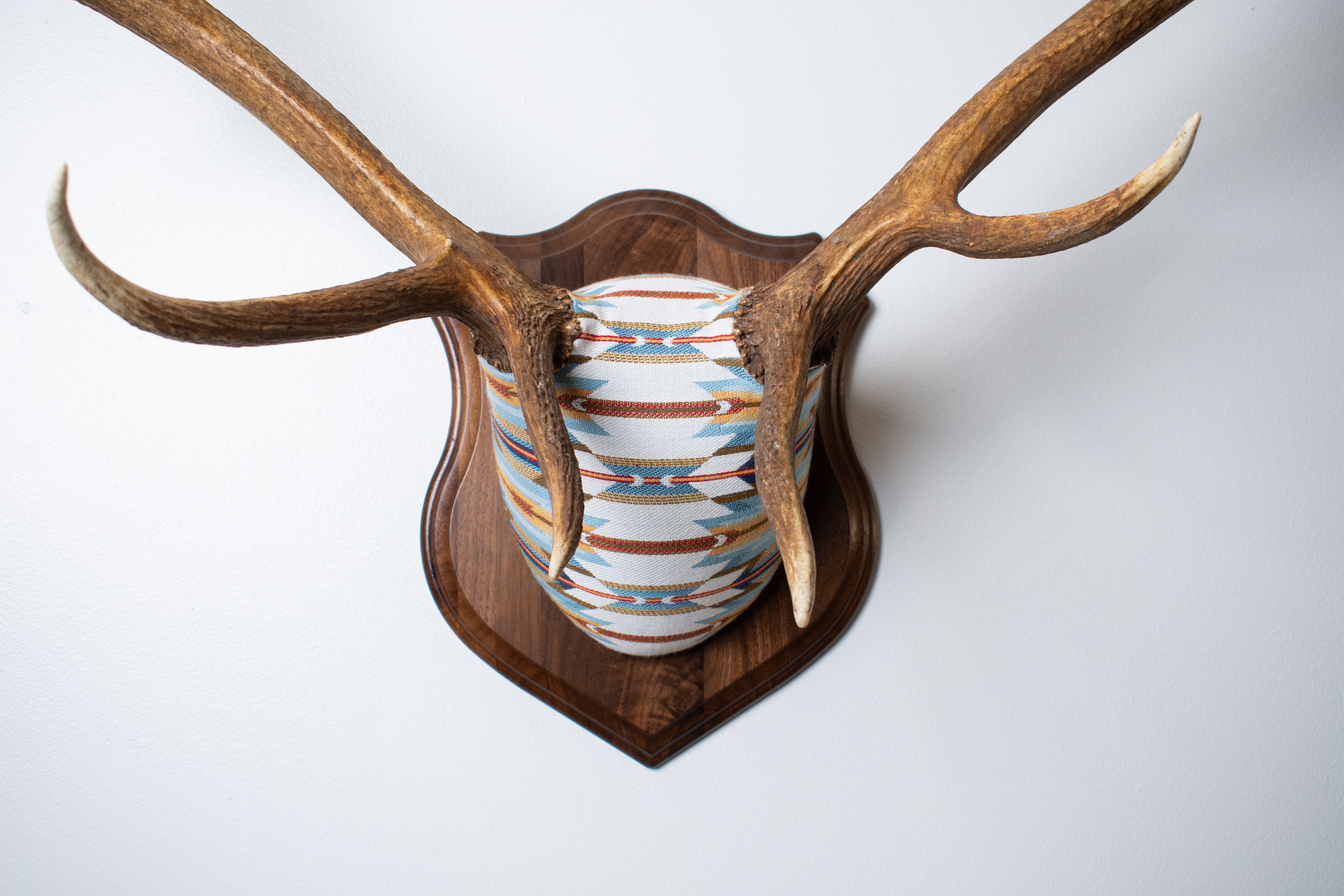 Elk Antler Mount | Sunset | 01