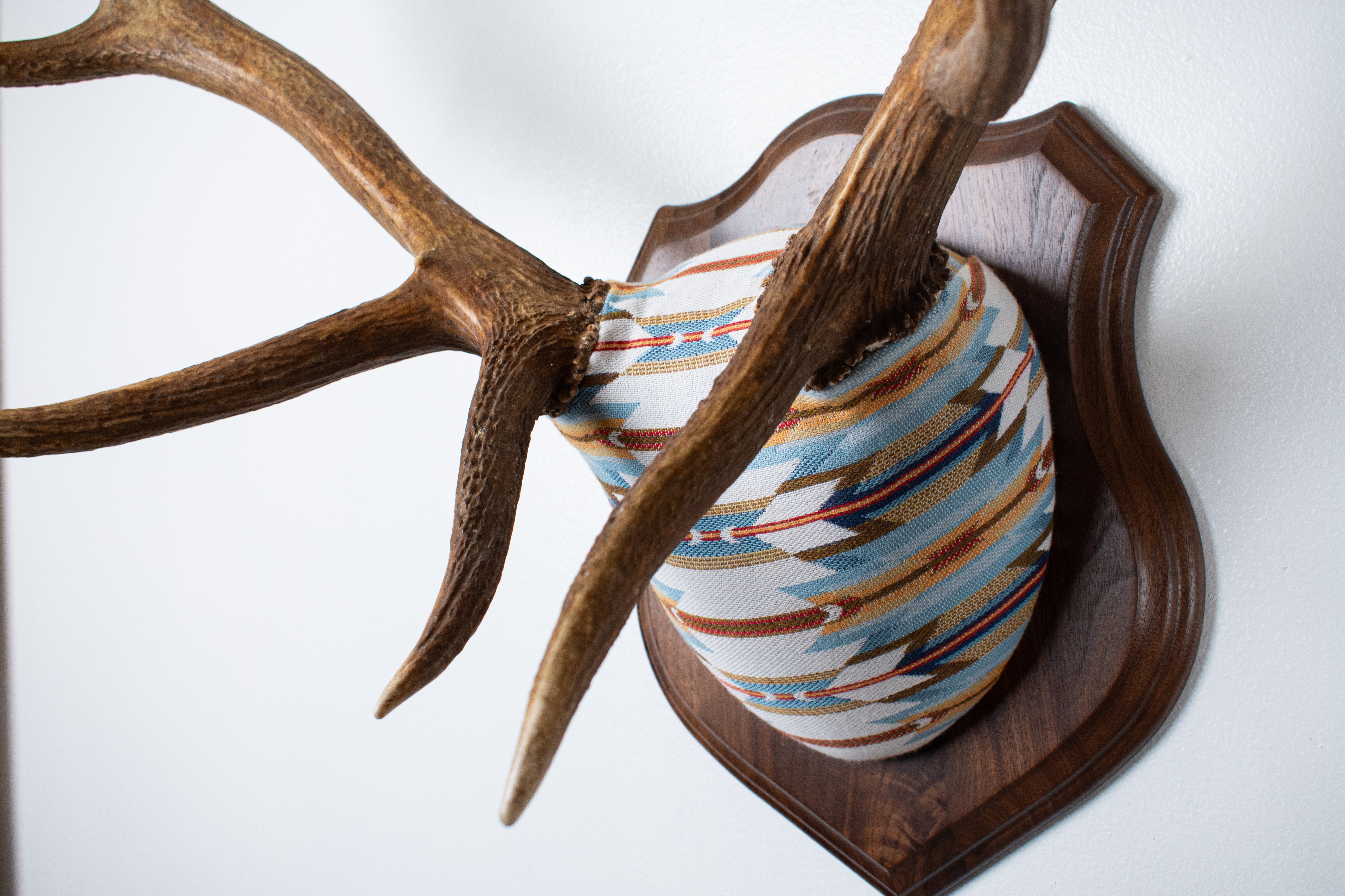 Elk Antler Mount | Sunset | 01