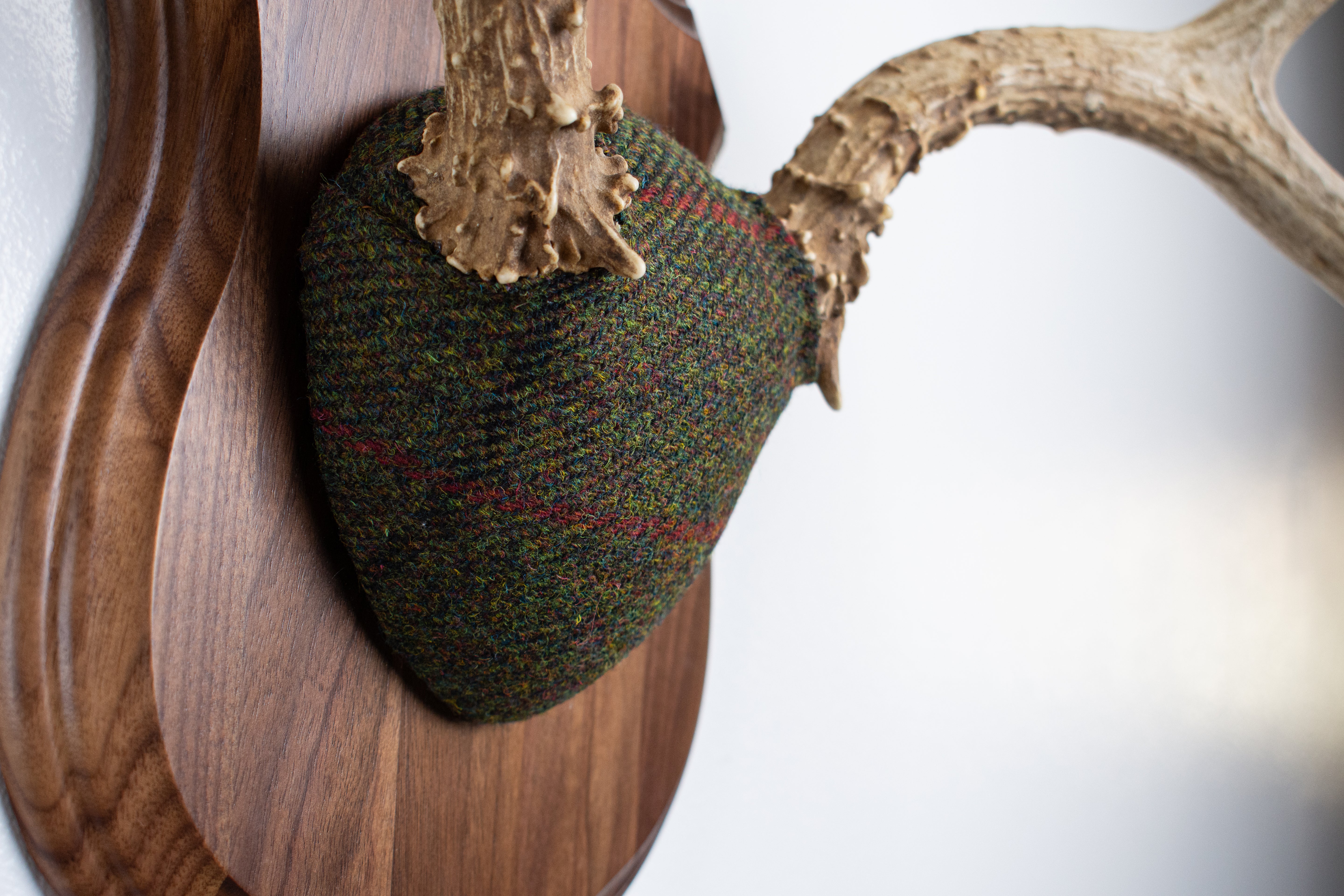 Mule Deer Antler Mount | Green, Black and Red Overcheck | 08