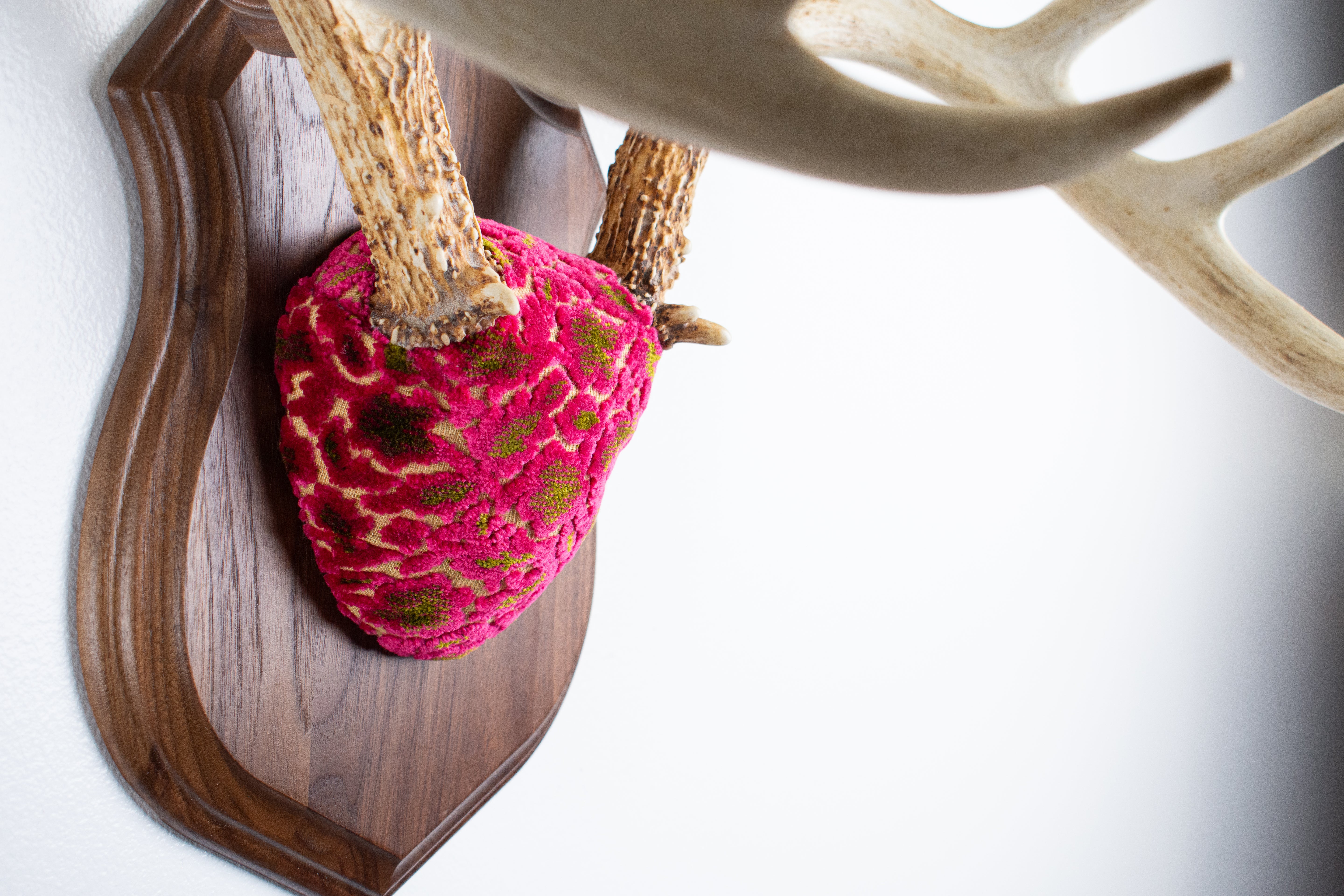 Whitetail Deer Antler Mount | Magenta & Olive | 03