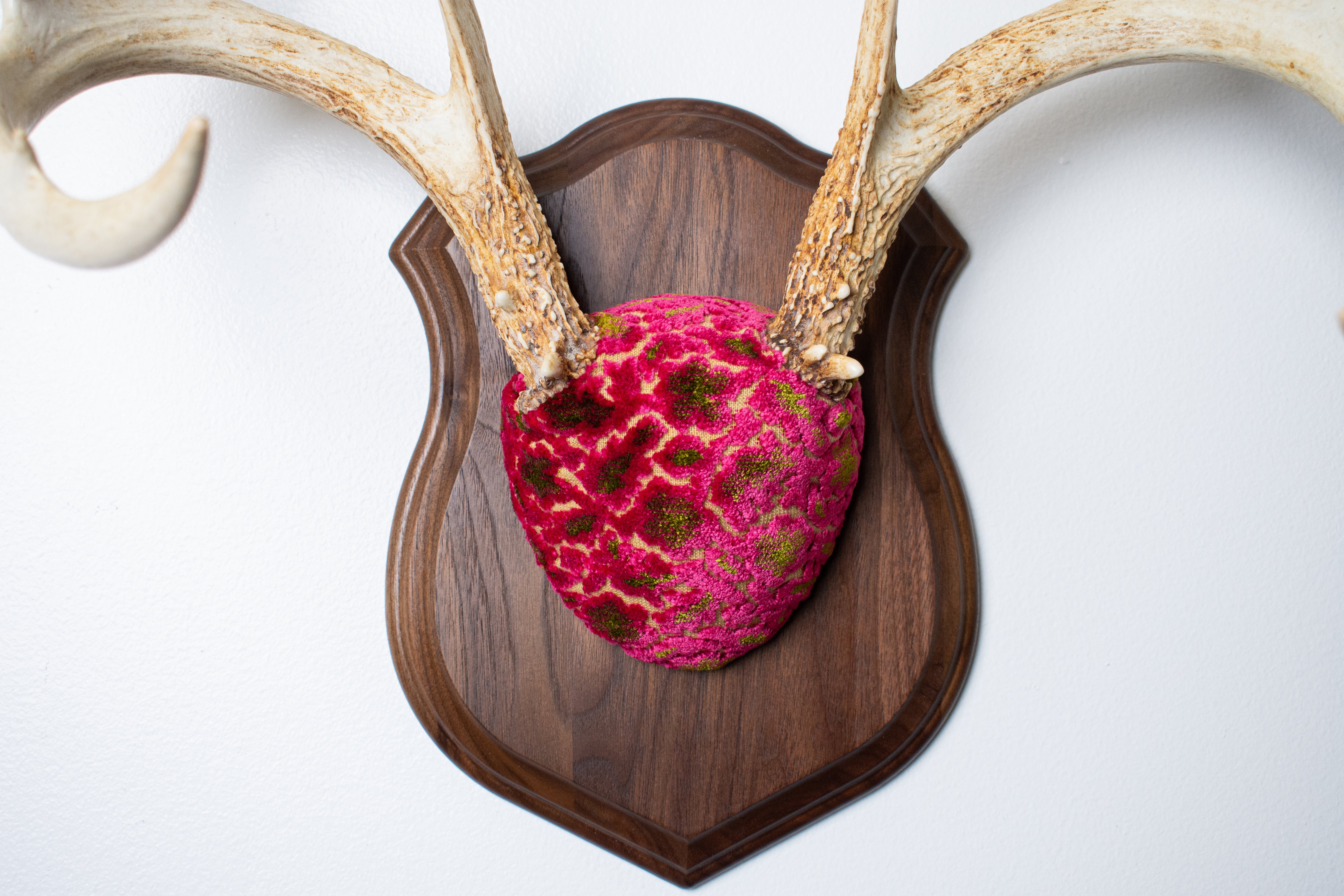 Whitetail Deer Antler Mount | Magenta & Olive | 03