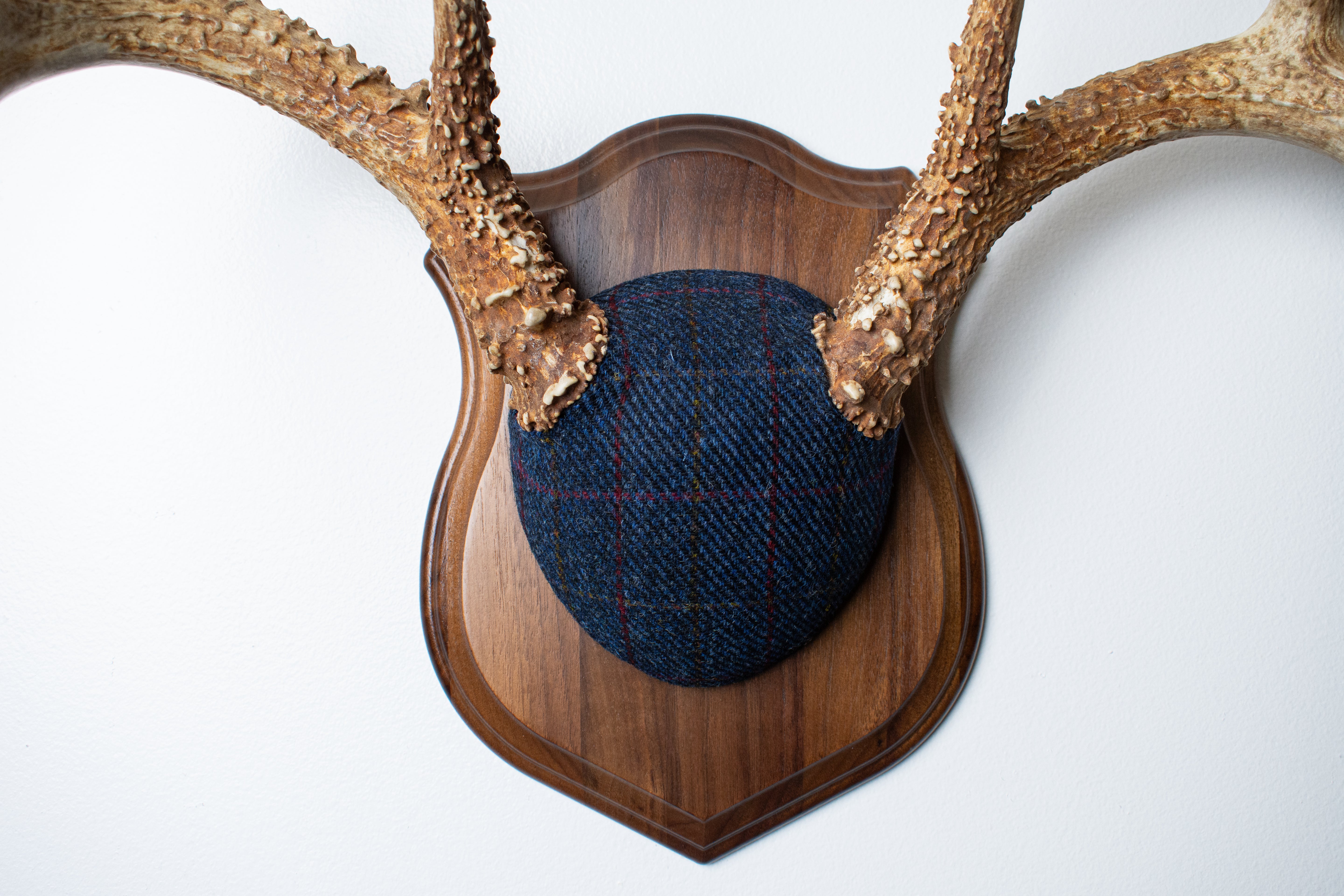 Whitetail Deer Antler Mount | Blue with Red Overcheck | 11