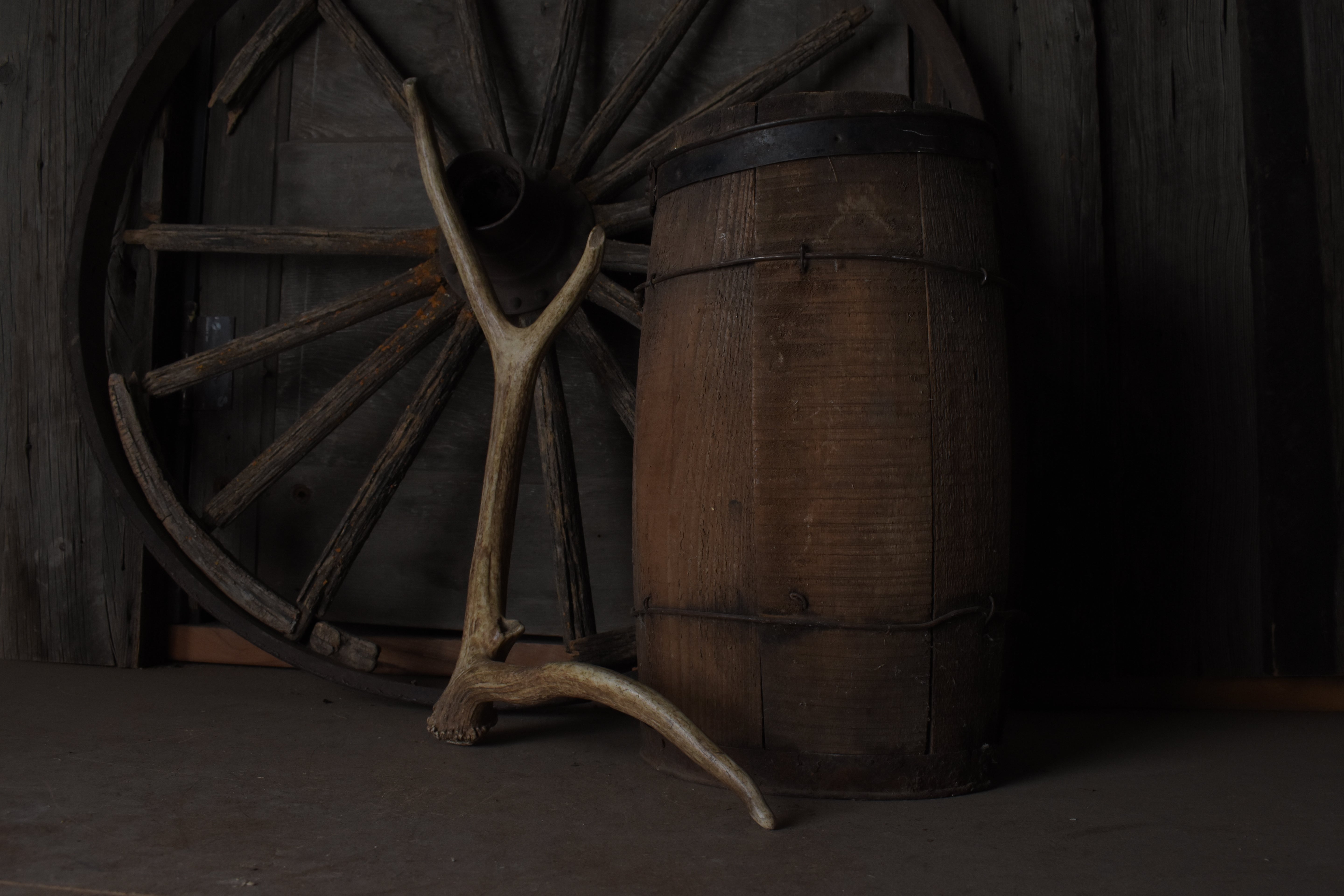 Elk Antler | Small Size | 94