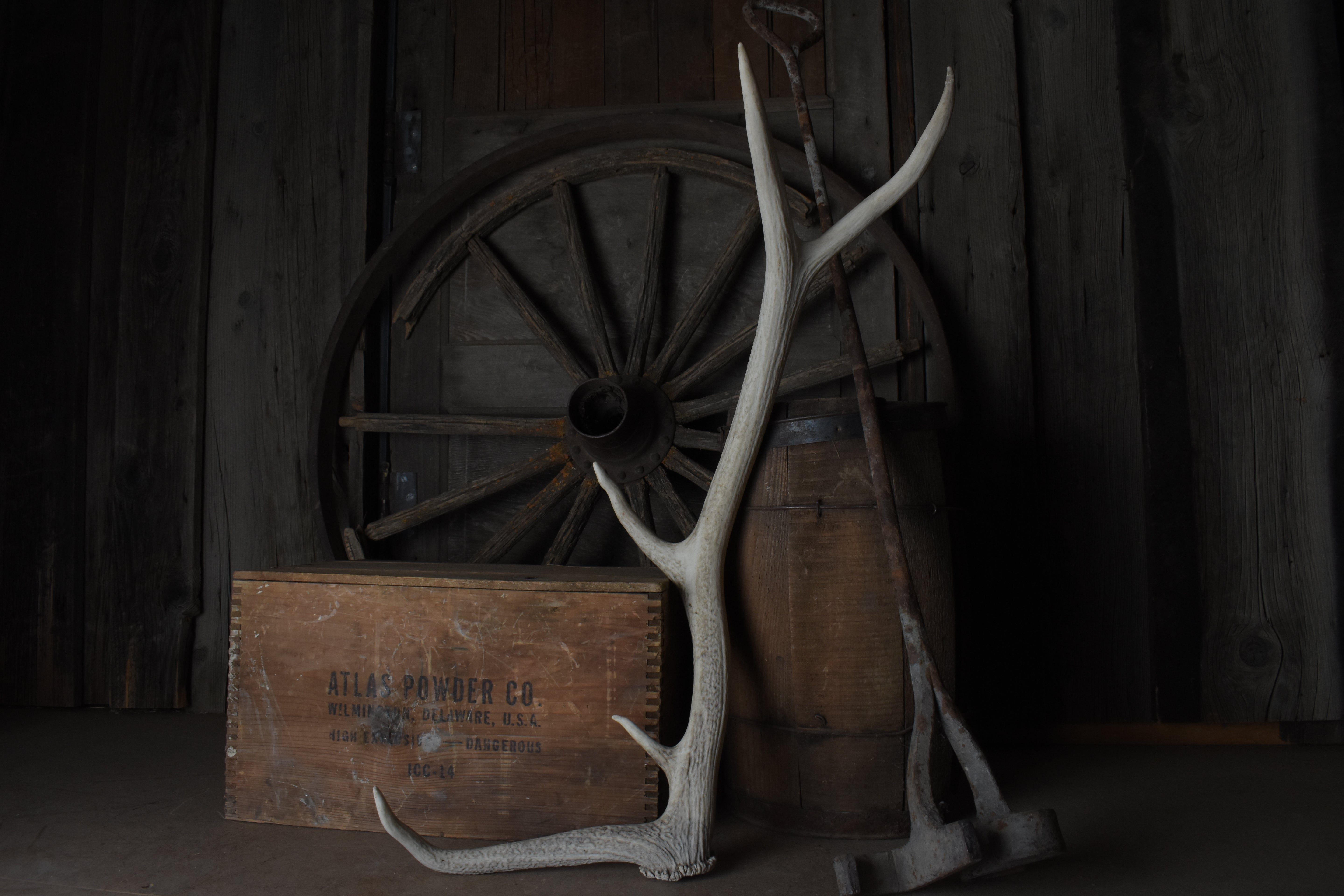 Elk Antler | 65