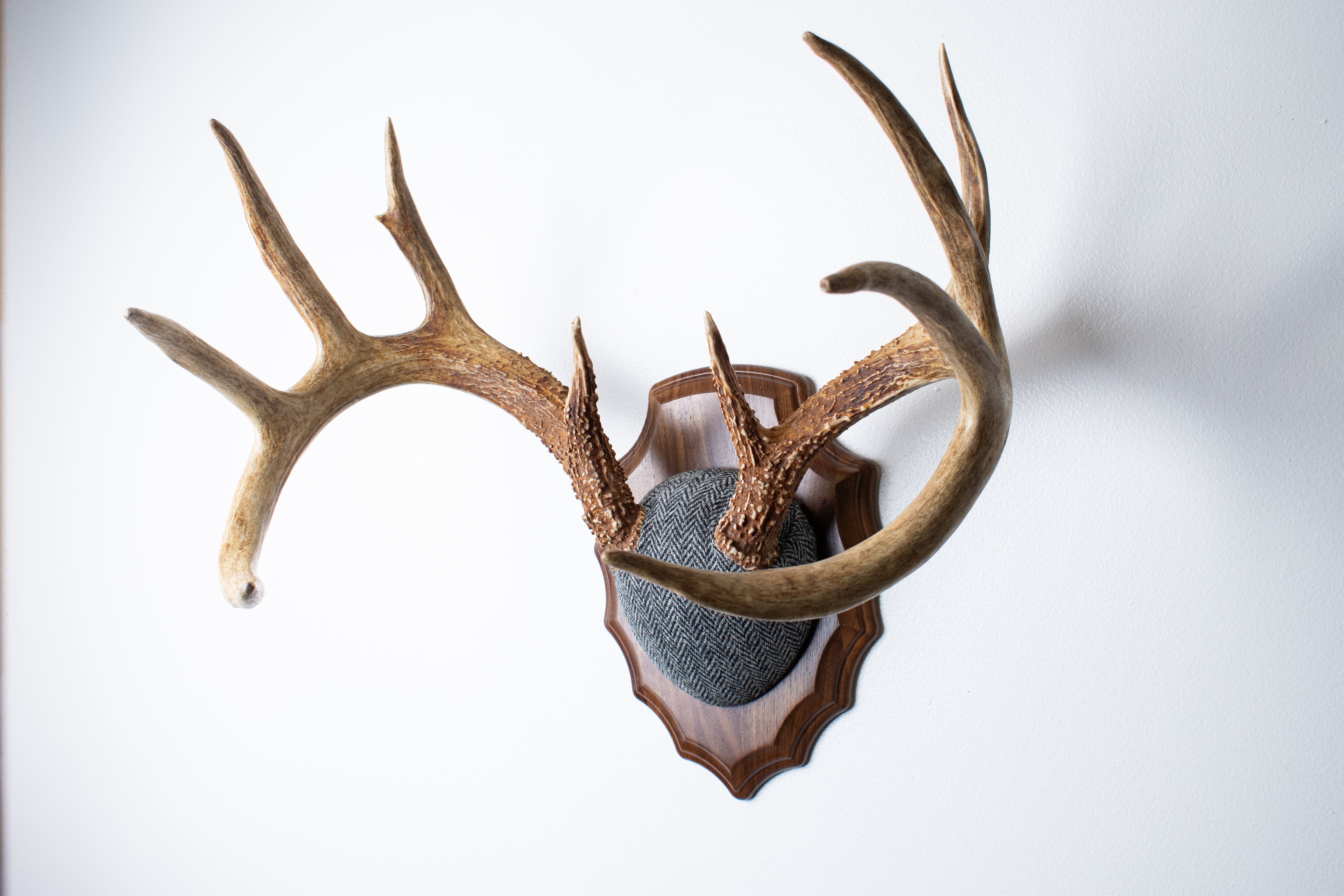 Whitetail Antler Mount | Grey & Black Herringbone | 14