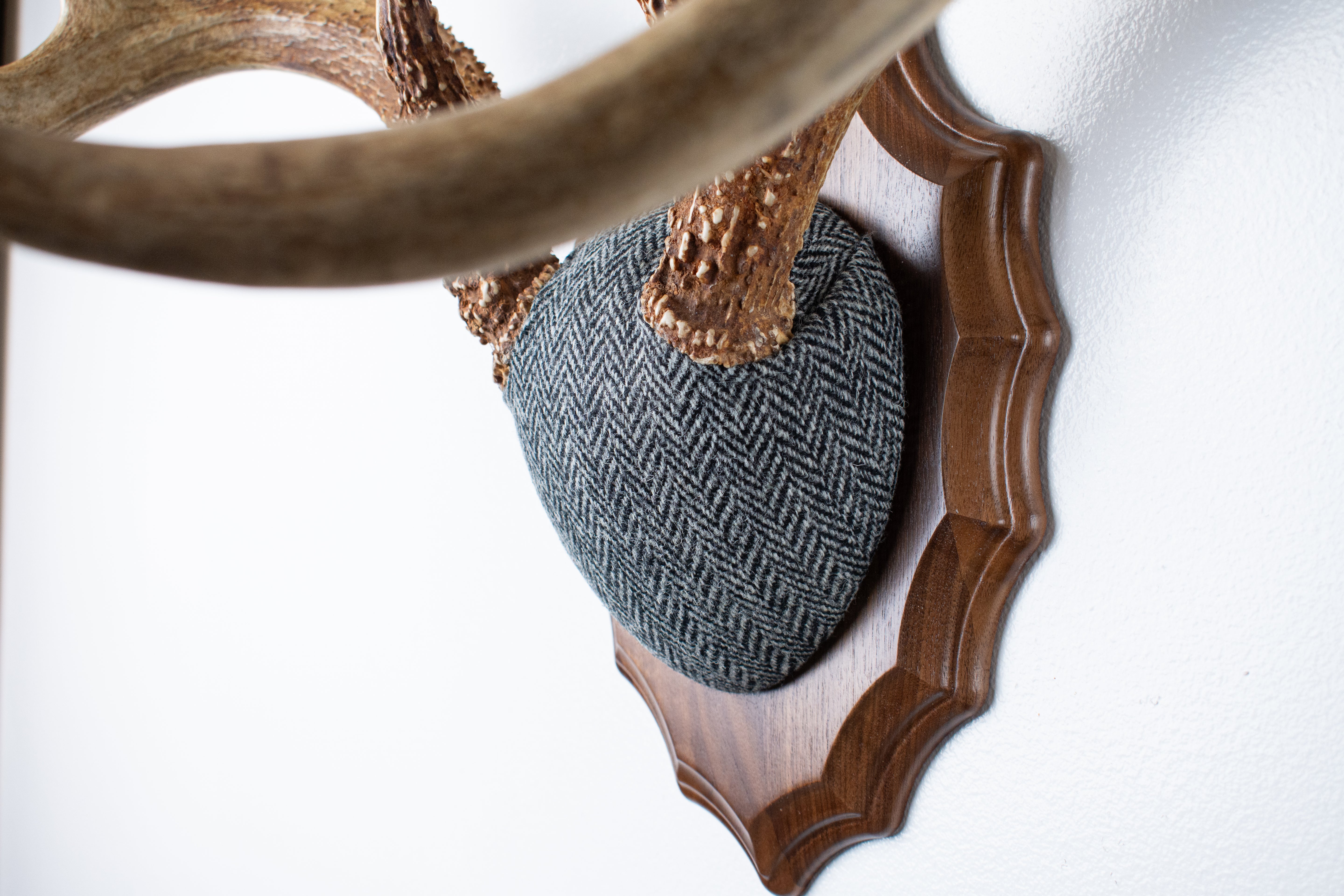 Whitetail Antler Mount | Grey & Black Herringbone | 14