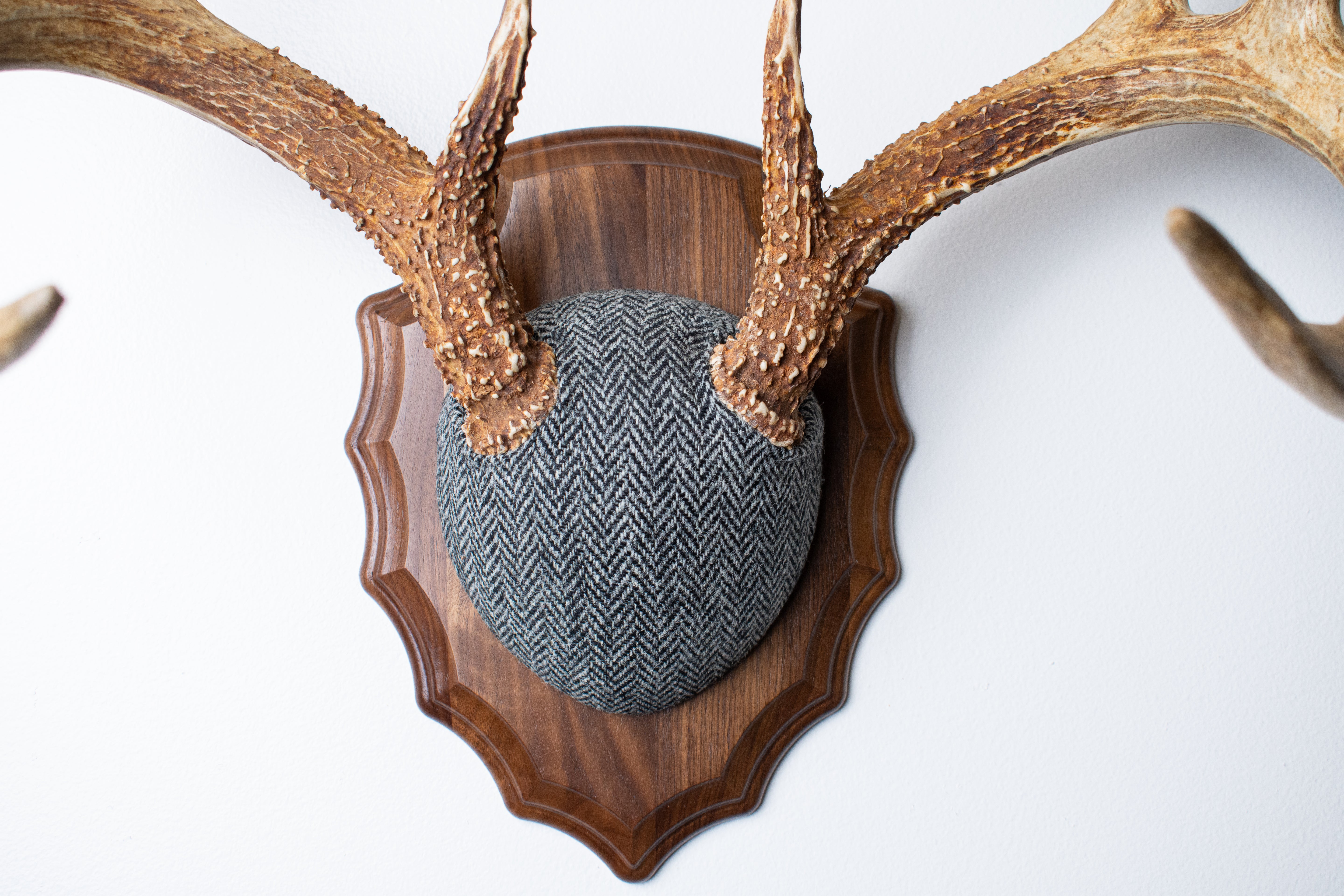 Whitetail Antler Mount | Grey & Black Herringbone | 14