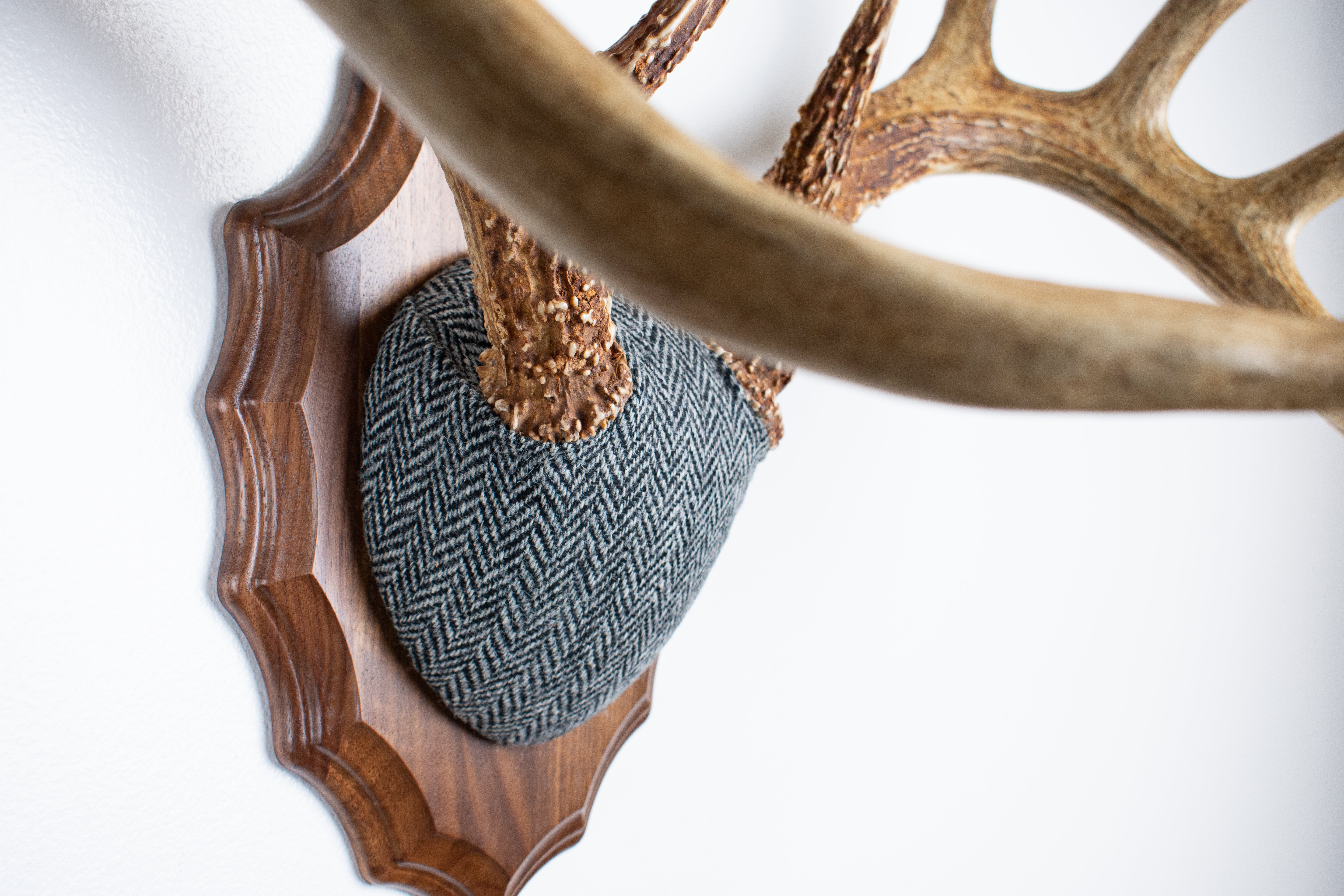 Whitetail Antler Mount | Grey & Black Herringbone | 14