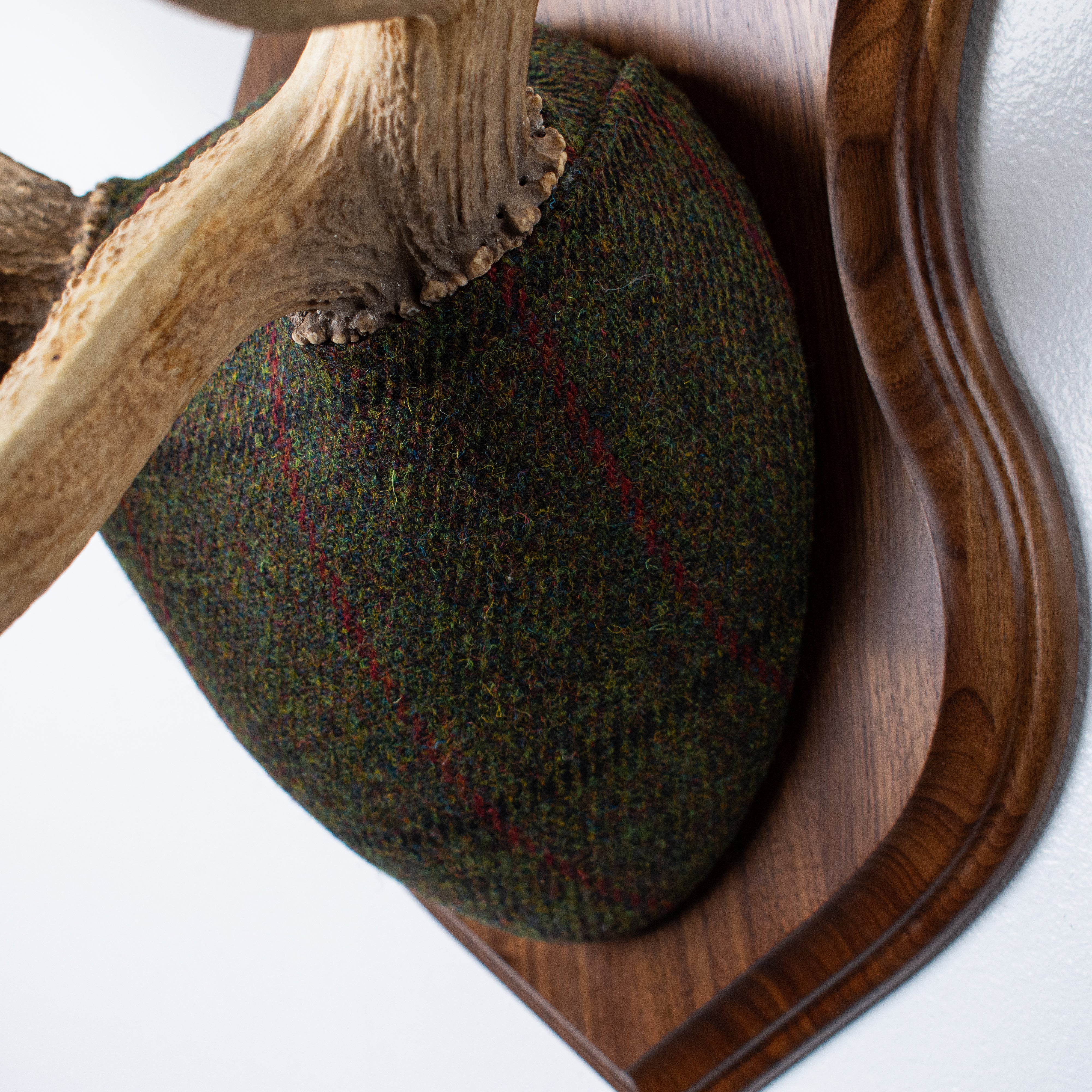 Elk Antler Mount | Green, Black and Red Overcheck | 16