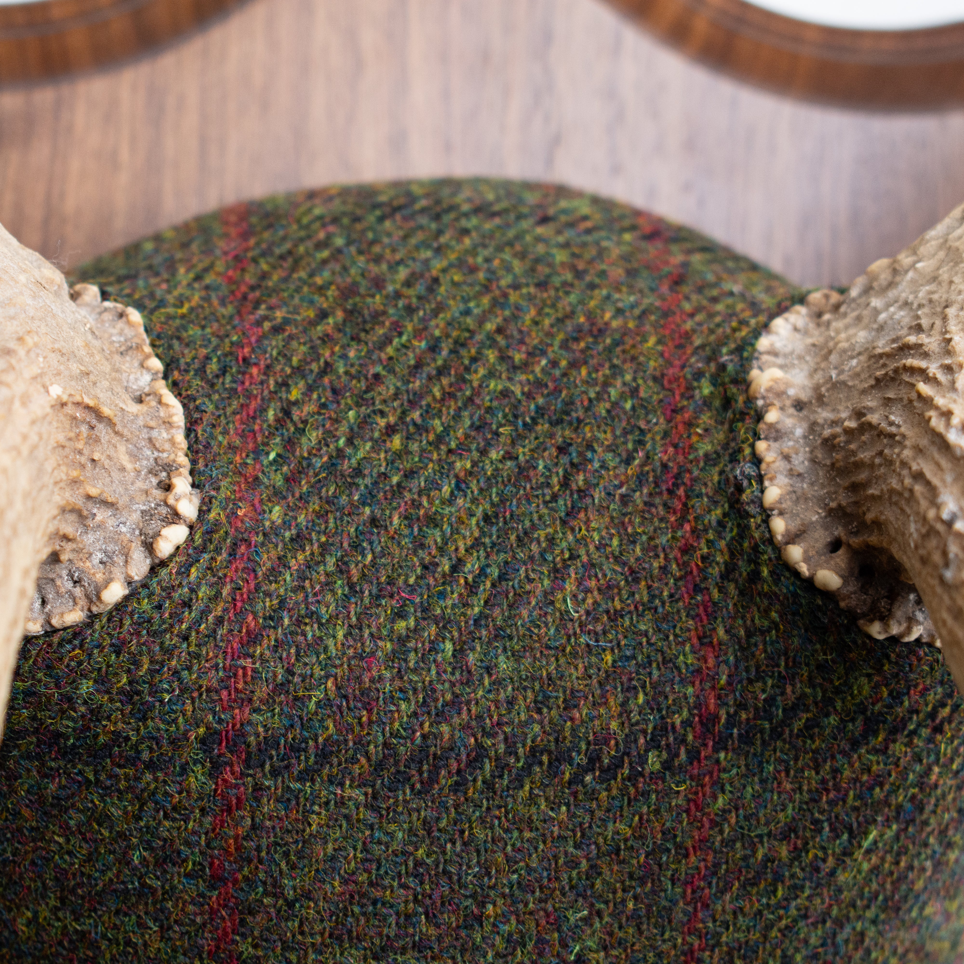 Elk Antler Mount | Green, Black and Red Overcheck | 16