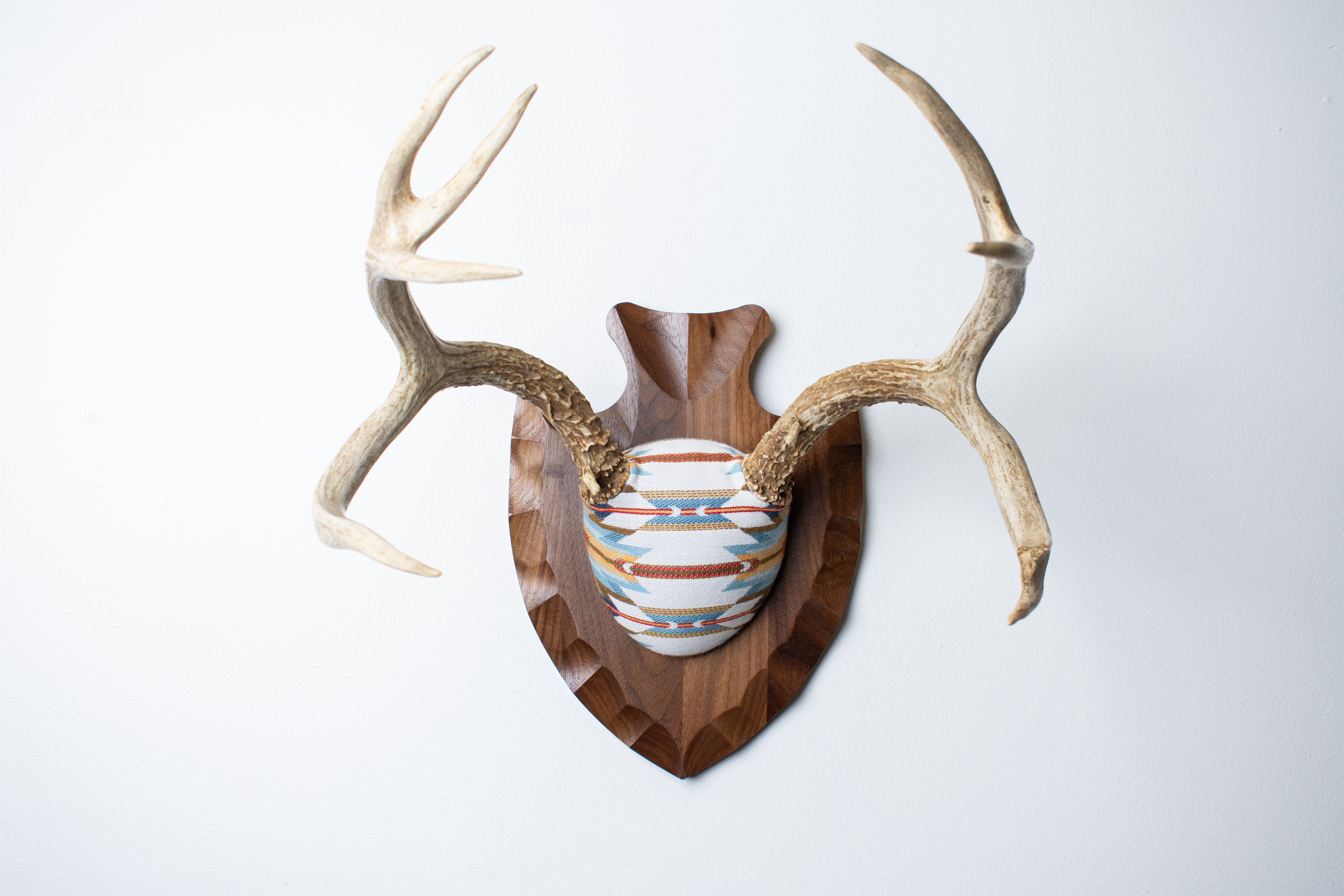 Mule Deer Antler Mount | Sunset | 03