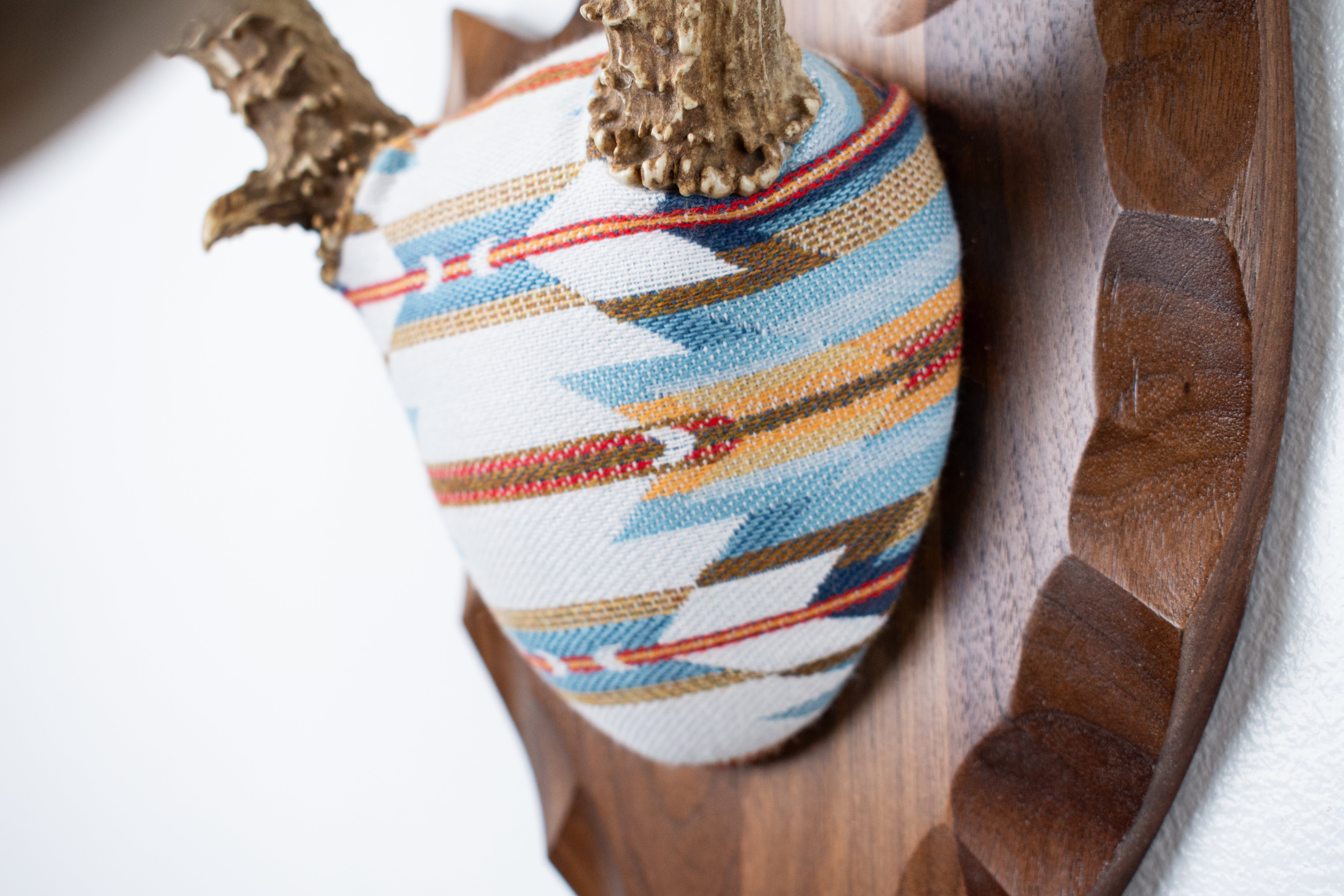 Mule Deer Antler Mount | Sunset | 03