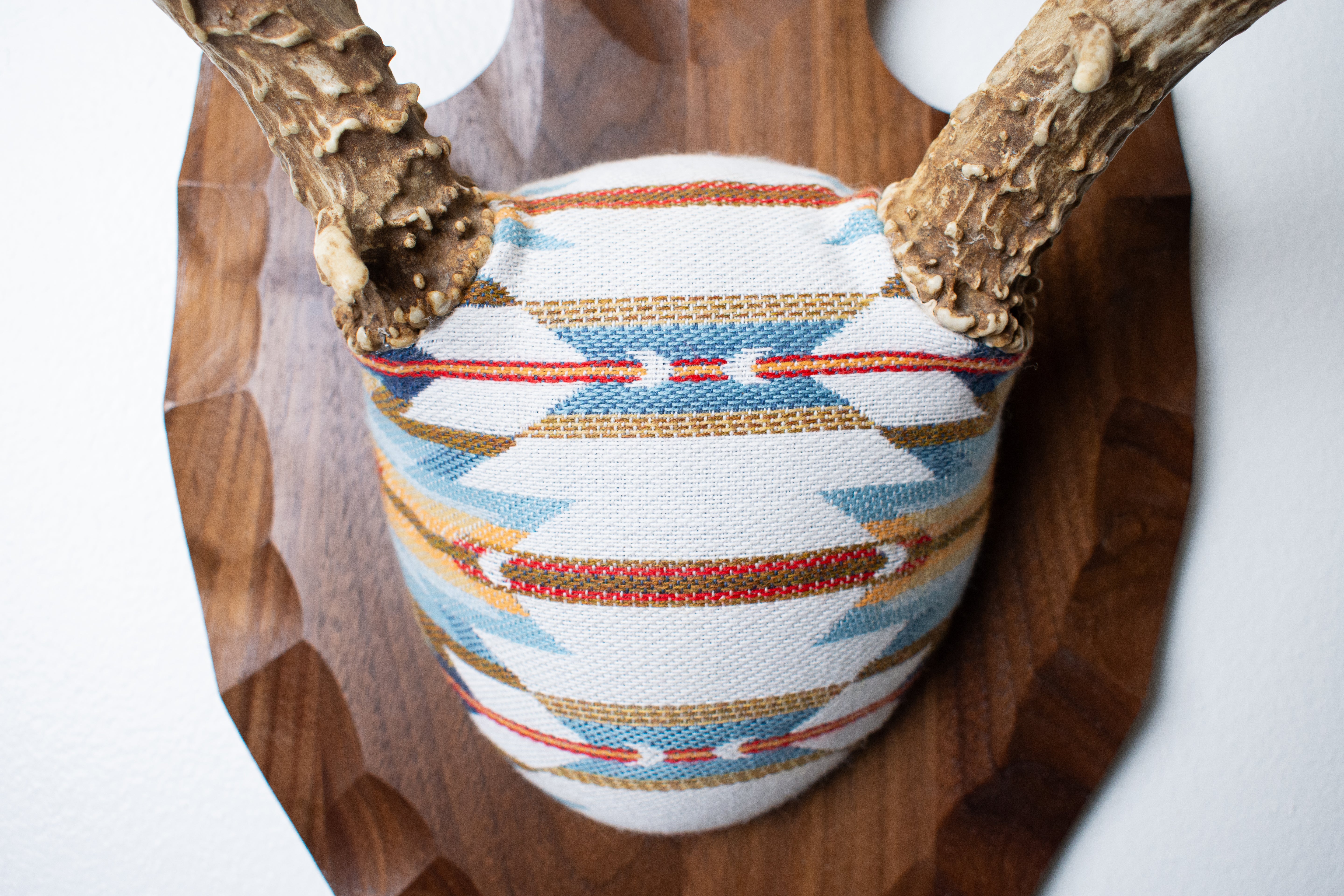 Mule Deer Antler Mount | Sunset | 03