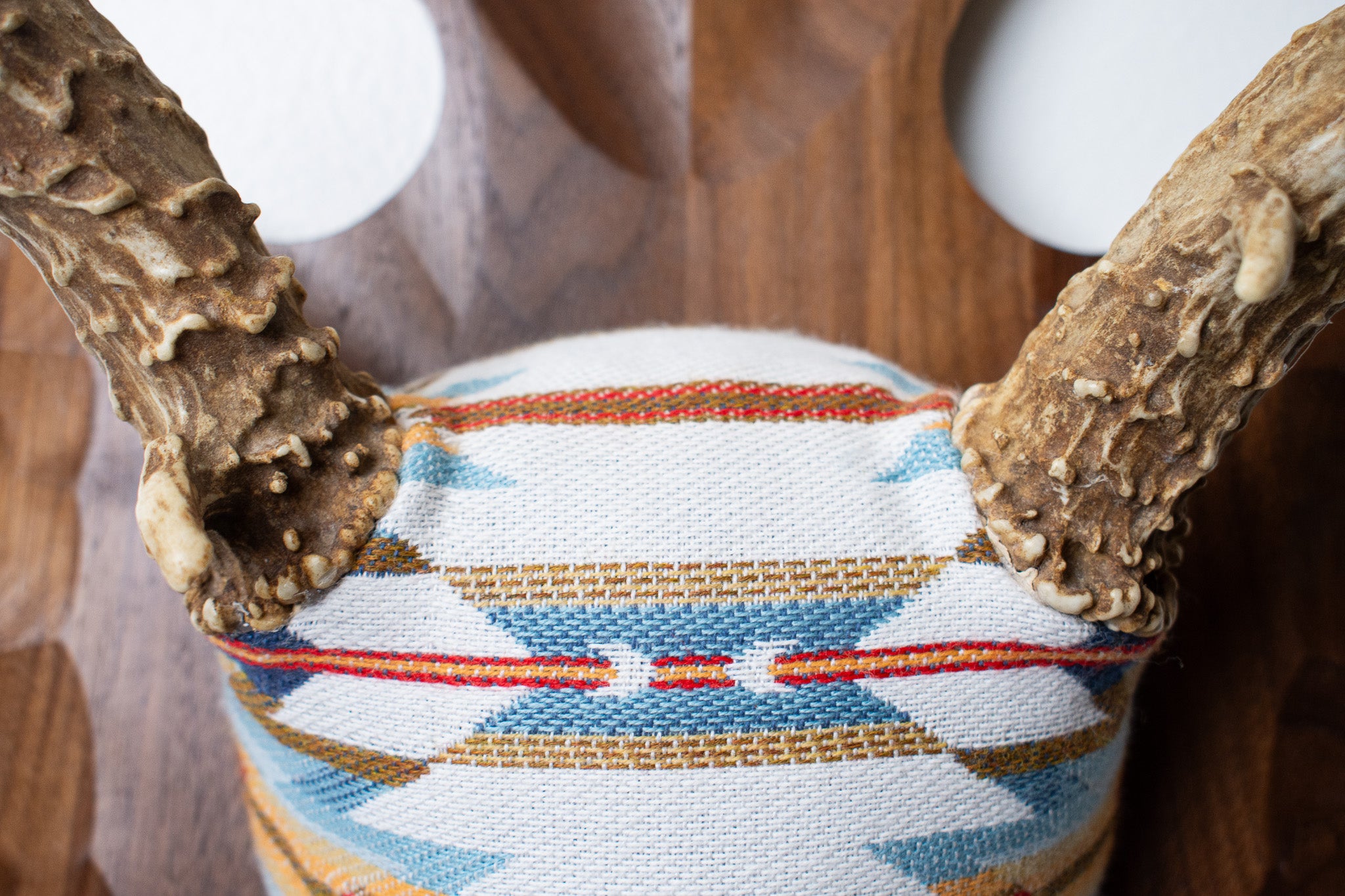 Mule Deer Antler Mount | Sunset | 03