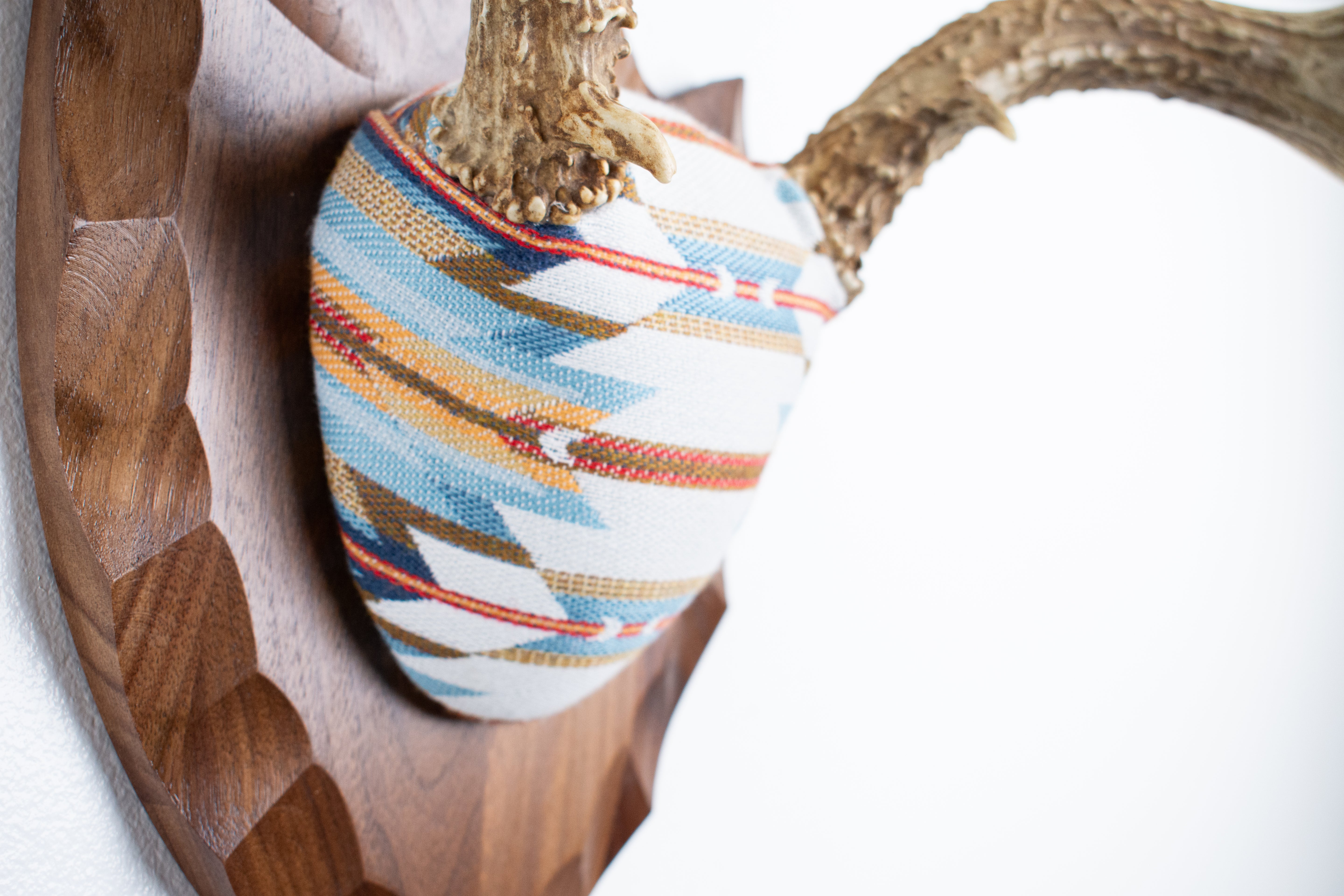 Mule Deer Antler Mount | Sunset | 03