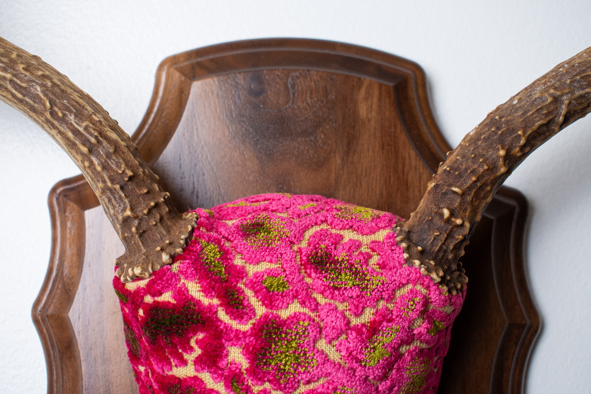 Mule Deer Antler Mount | Magenta & Olive | 05