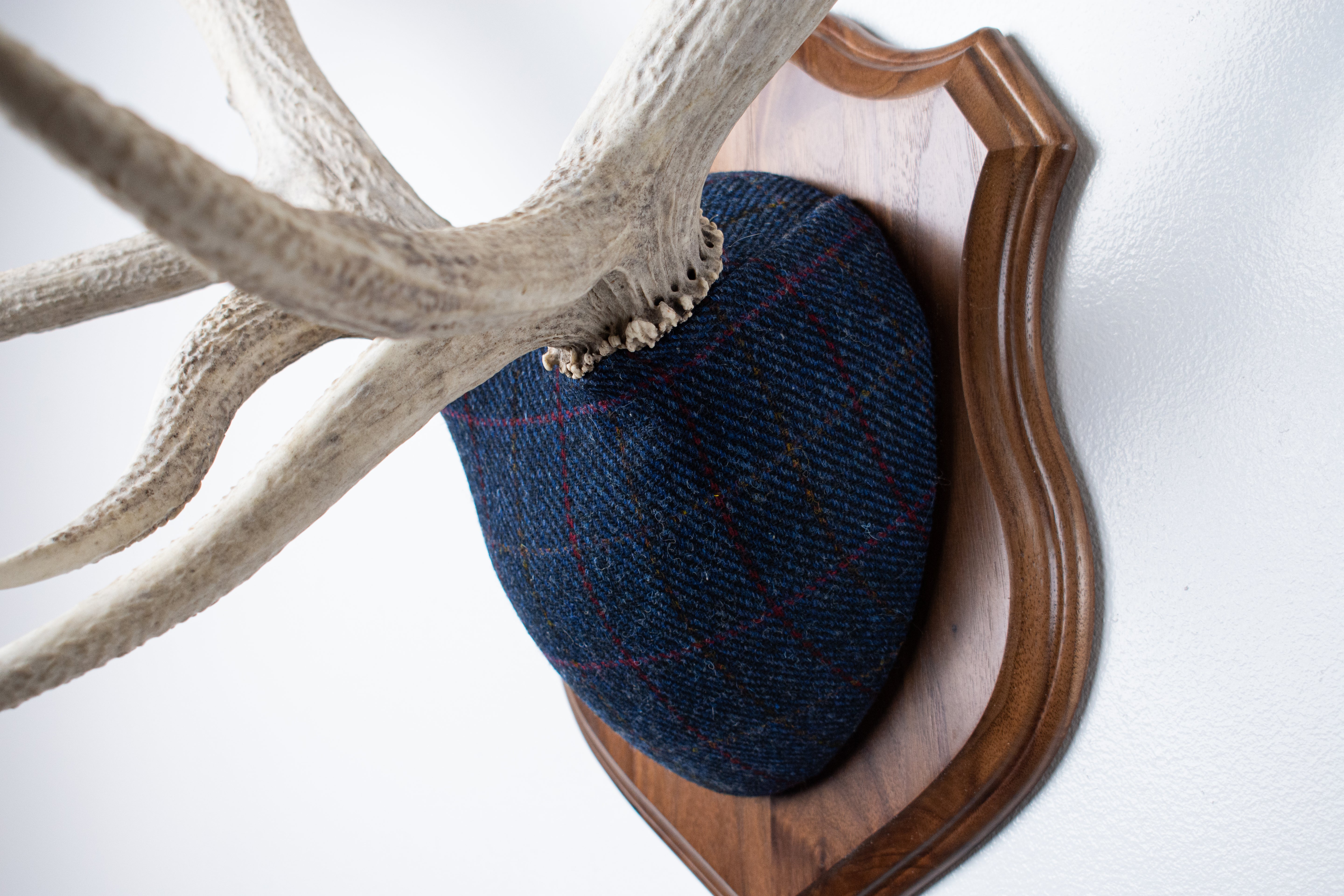 Elk Antler Mount | Blue with Red Overcheck | 15