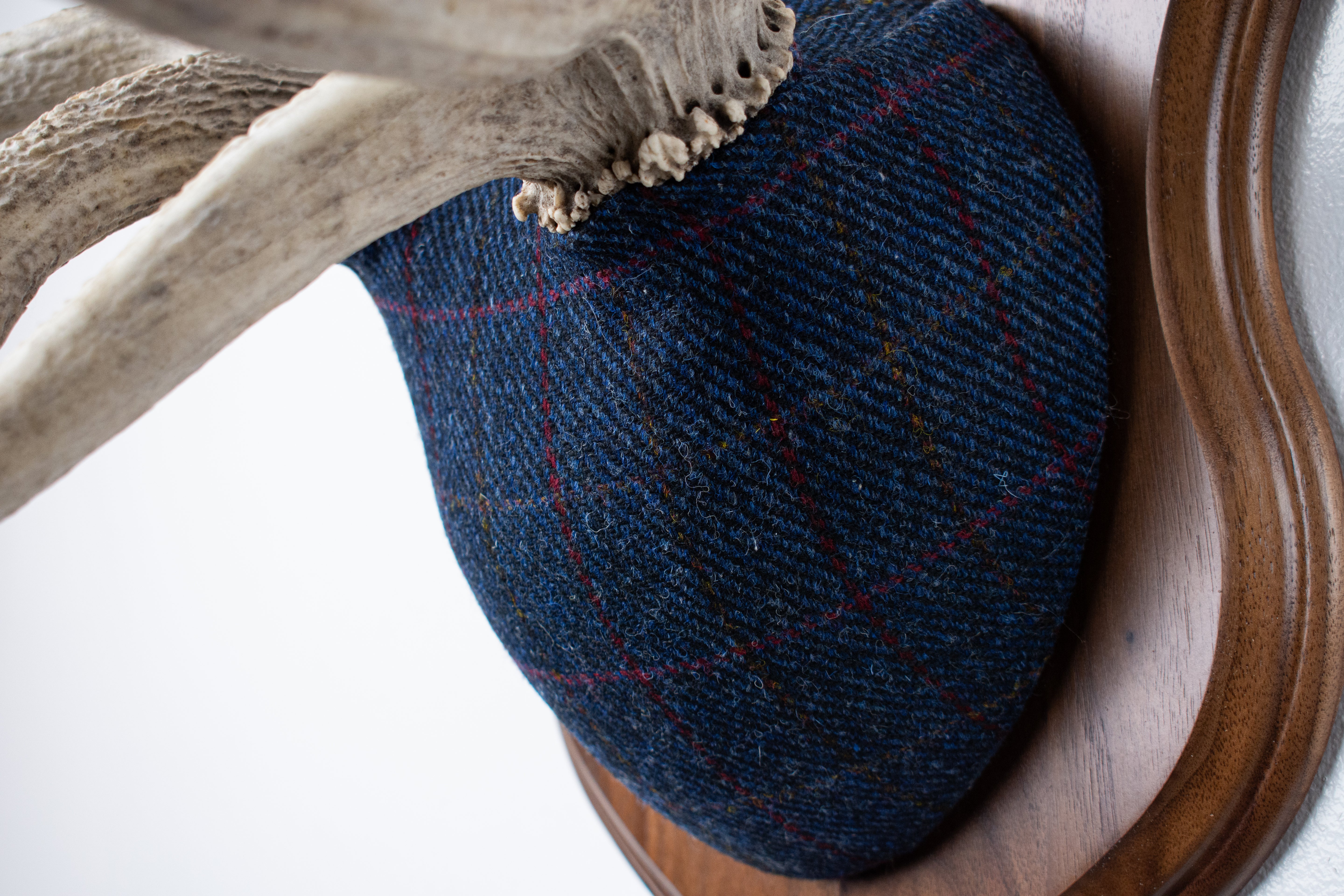 Elk Antler Mount | Blue with Red Overcheck | 15