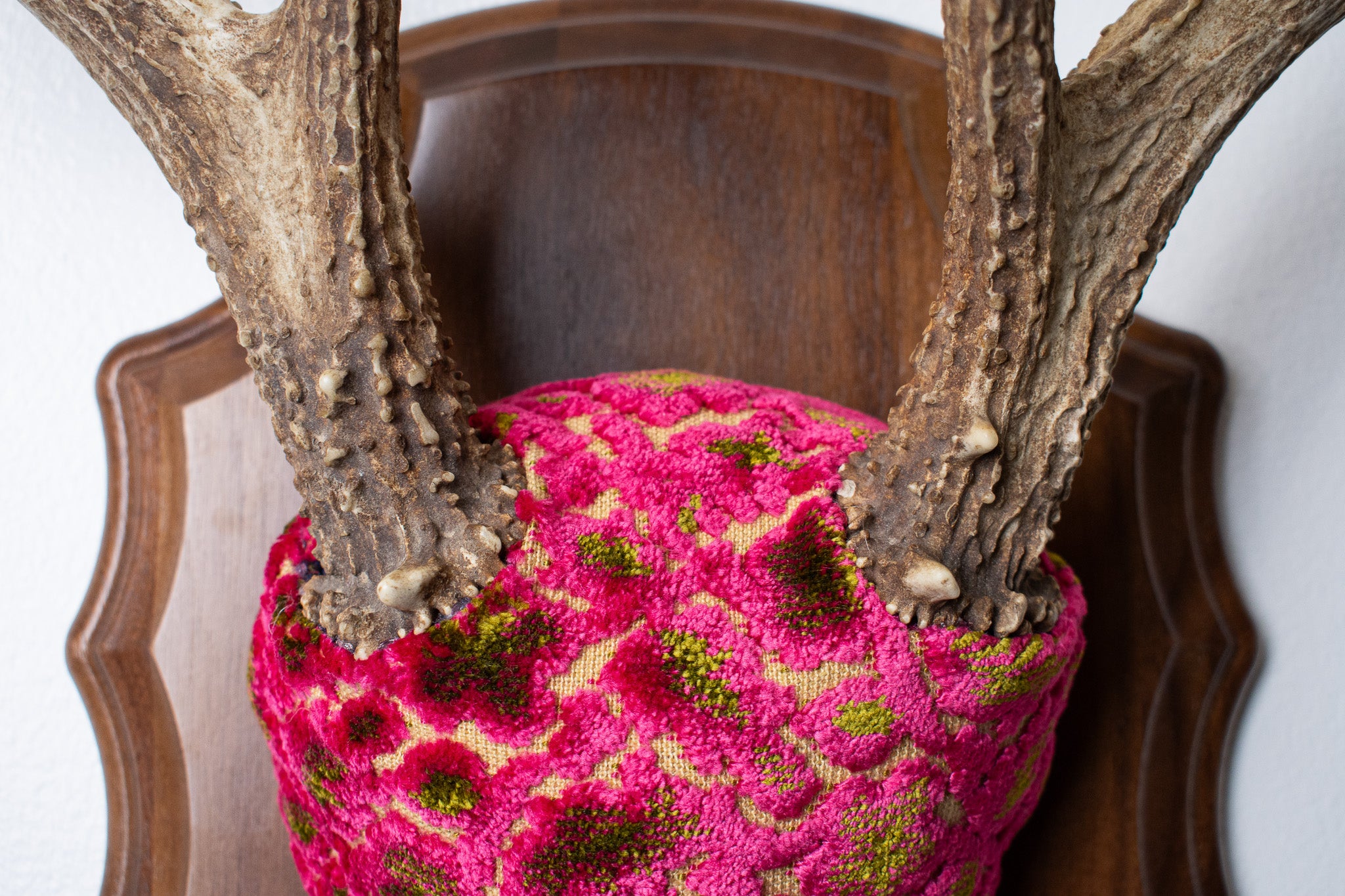 Whitetail Deer Antler Mount | Magenta & Olive | 04