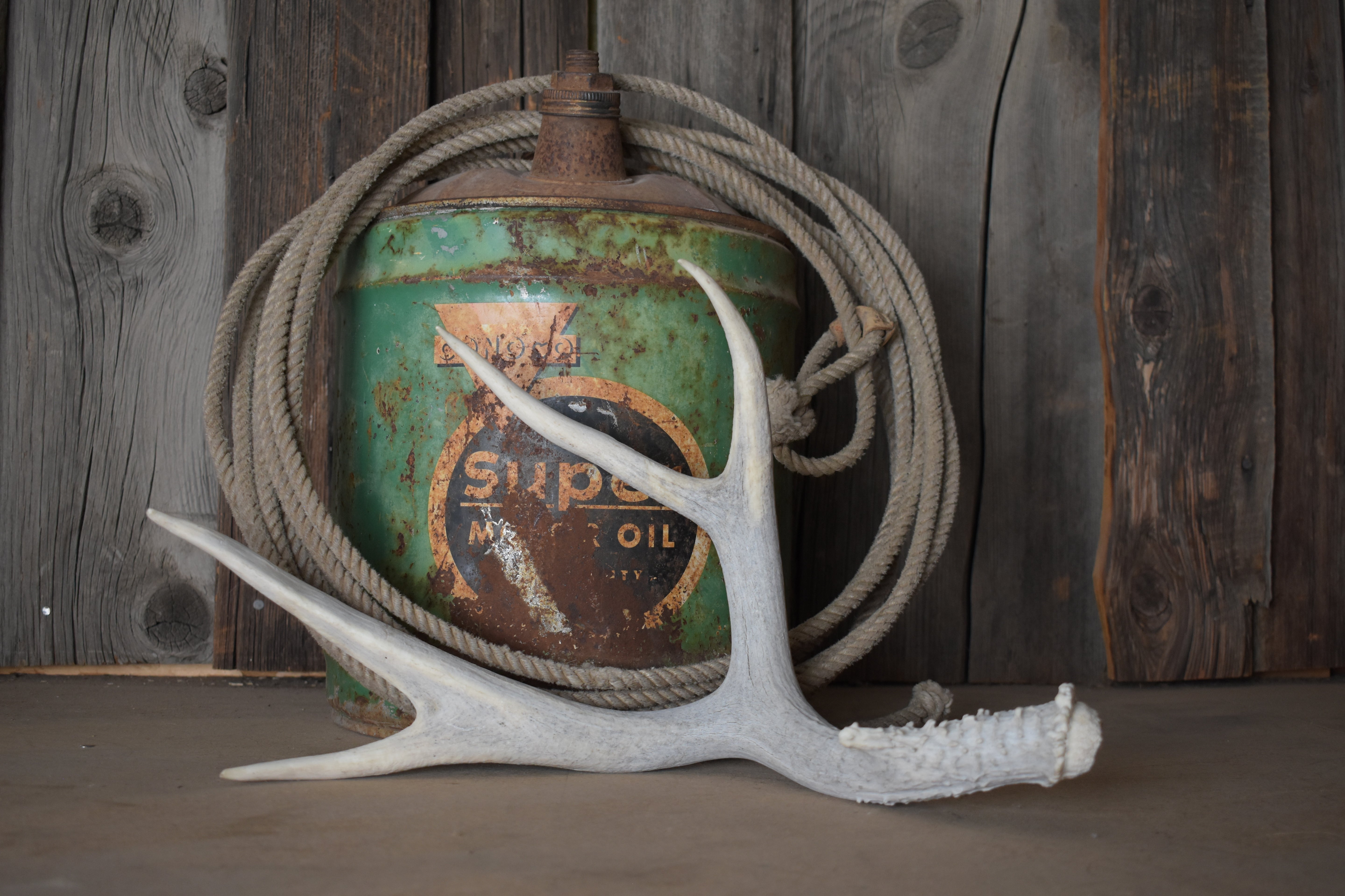 Mule Deer Antler | 05