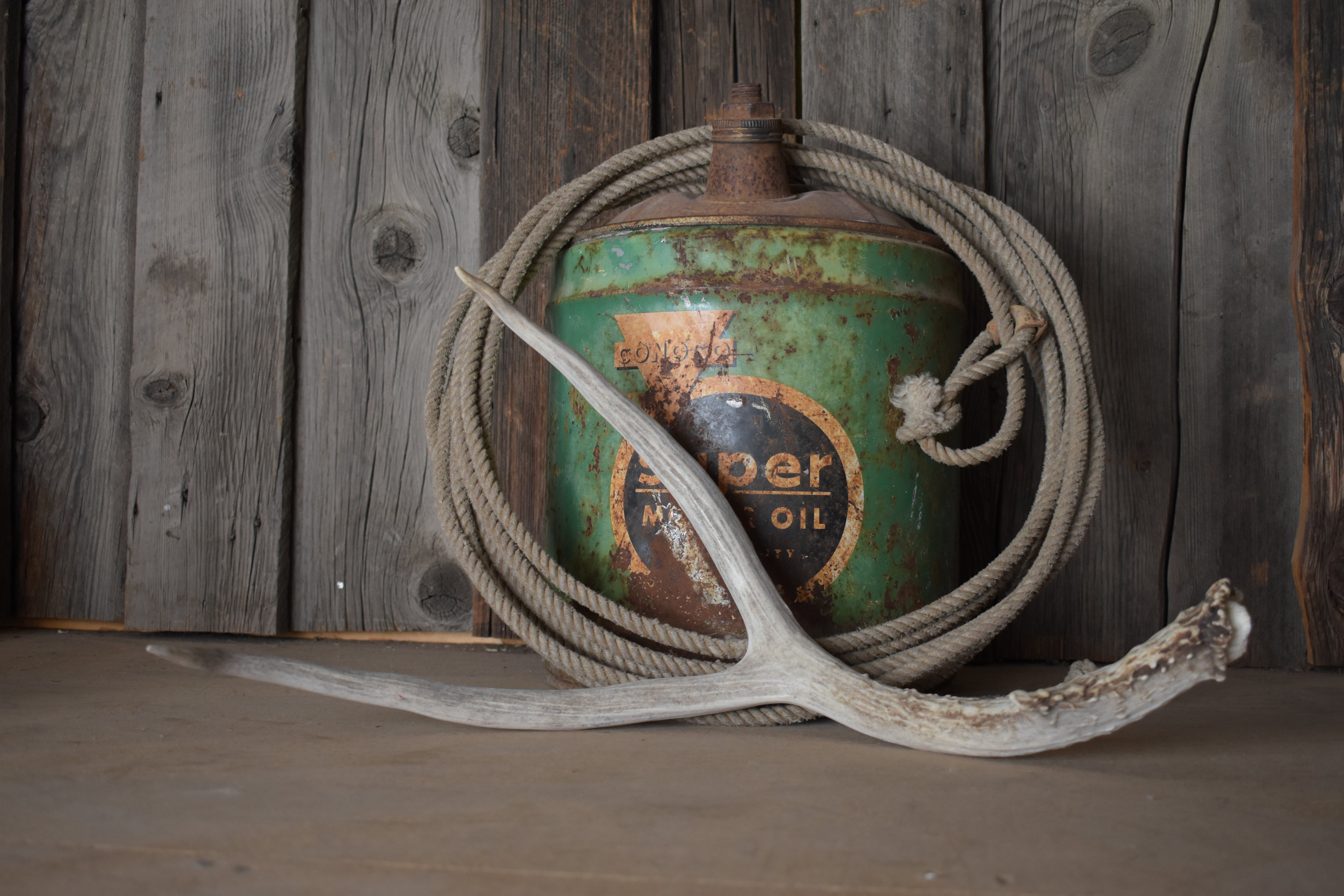 Mule Deer Antler | 01