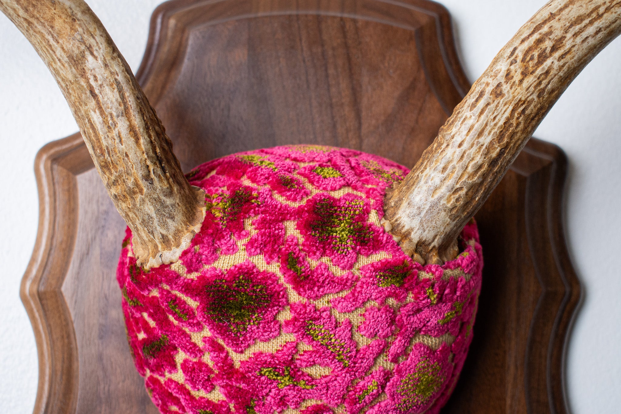 Whitetail Deer Antler Mount | Magenta & Olive | 09