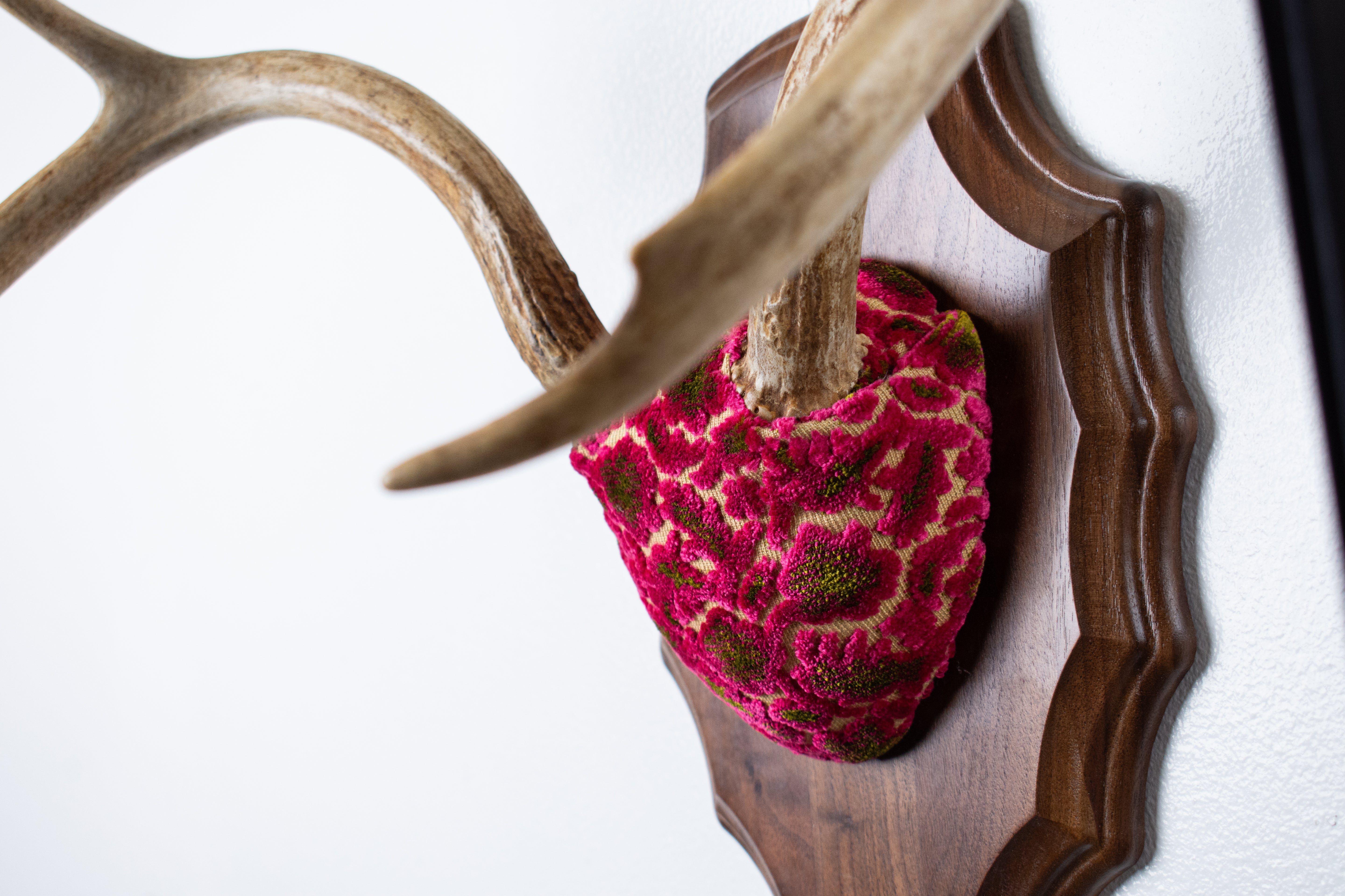 Whitetail Deer Antler Mount | Magenta & Olive | 09