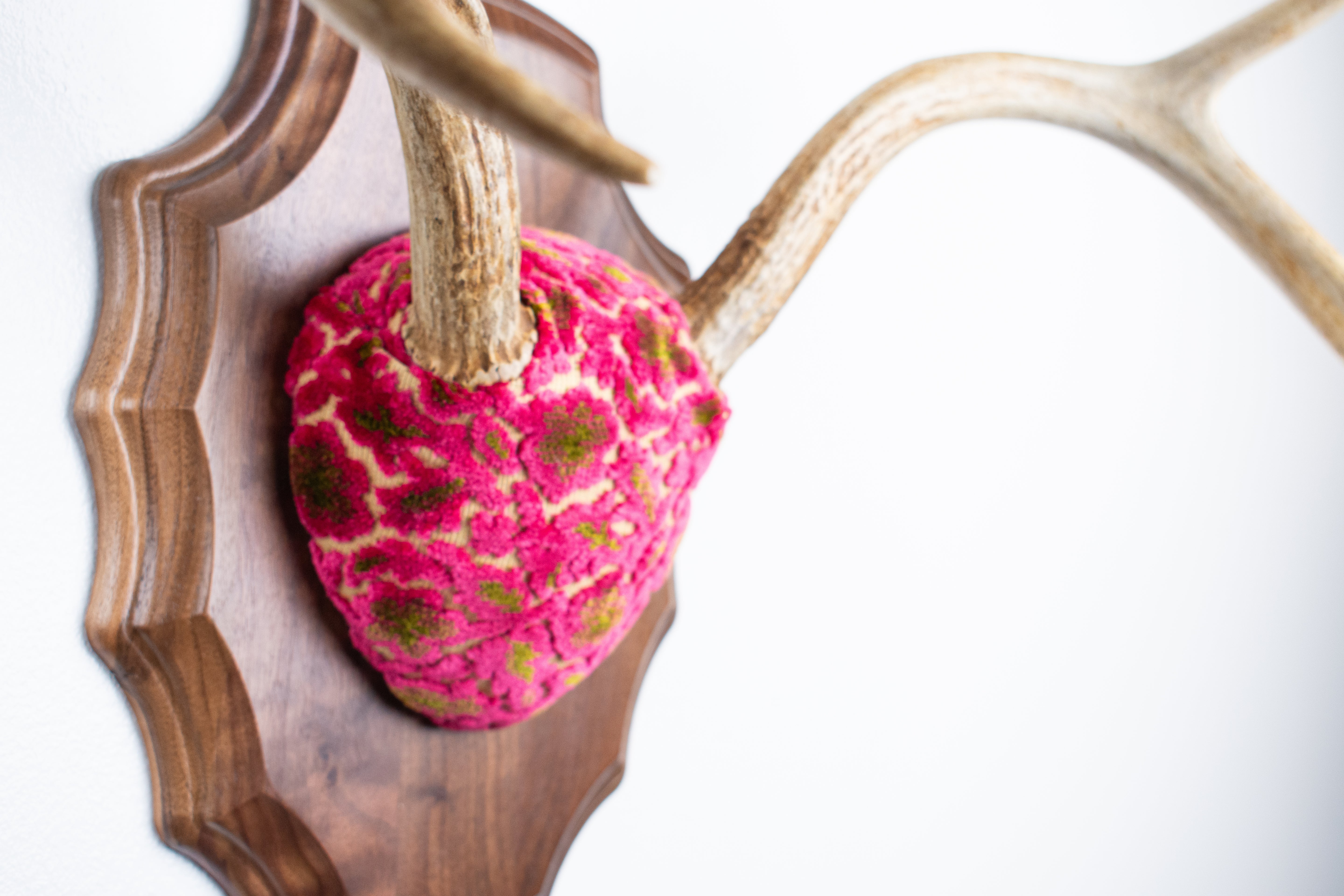 Whitetail Deer Antler Mount | Magenta & Olive | 09