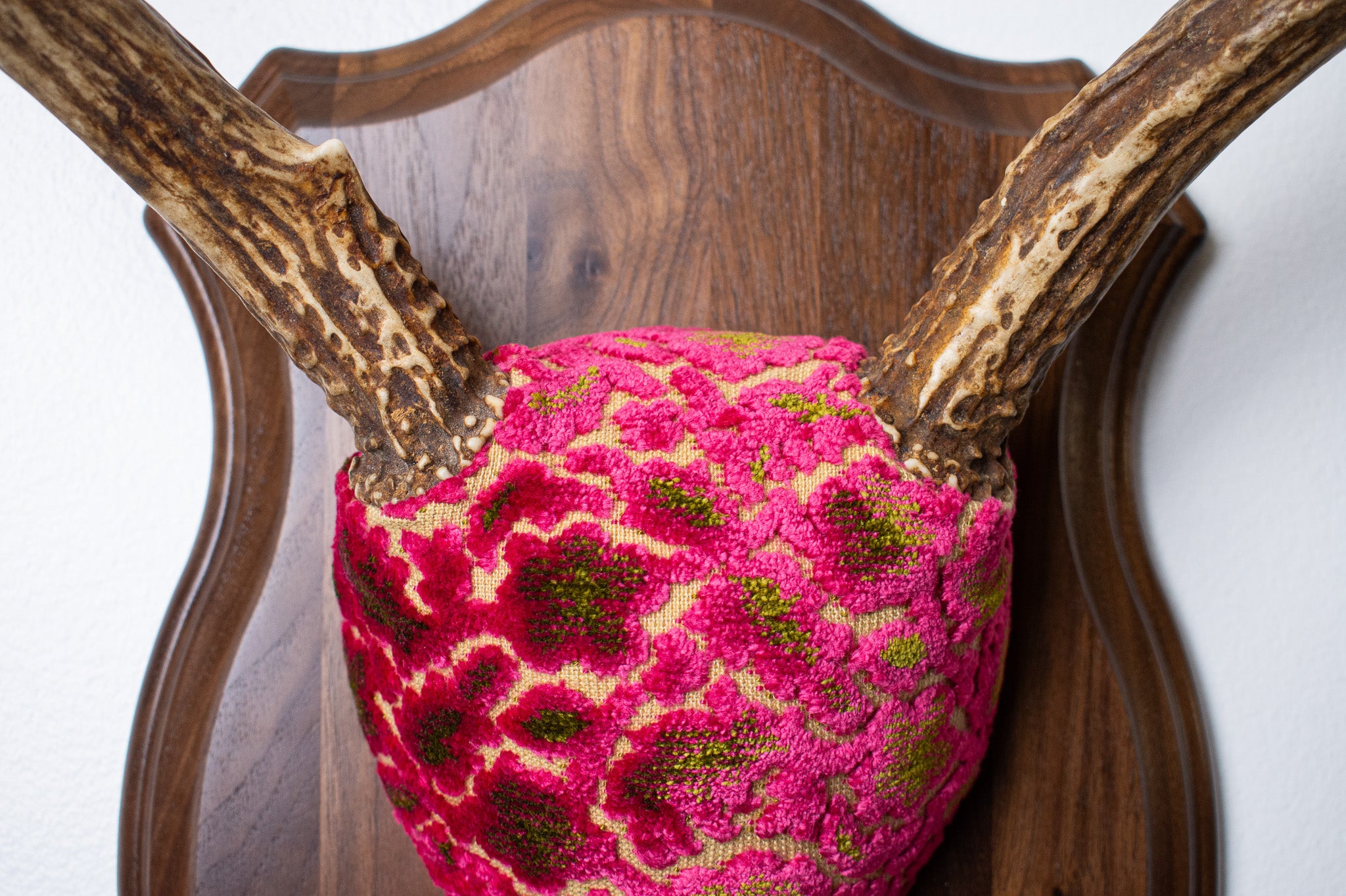 Mule Deer Antler Mount | Magenta & Olive | 10