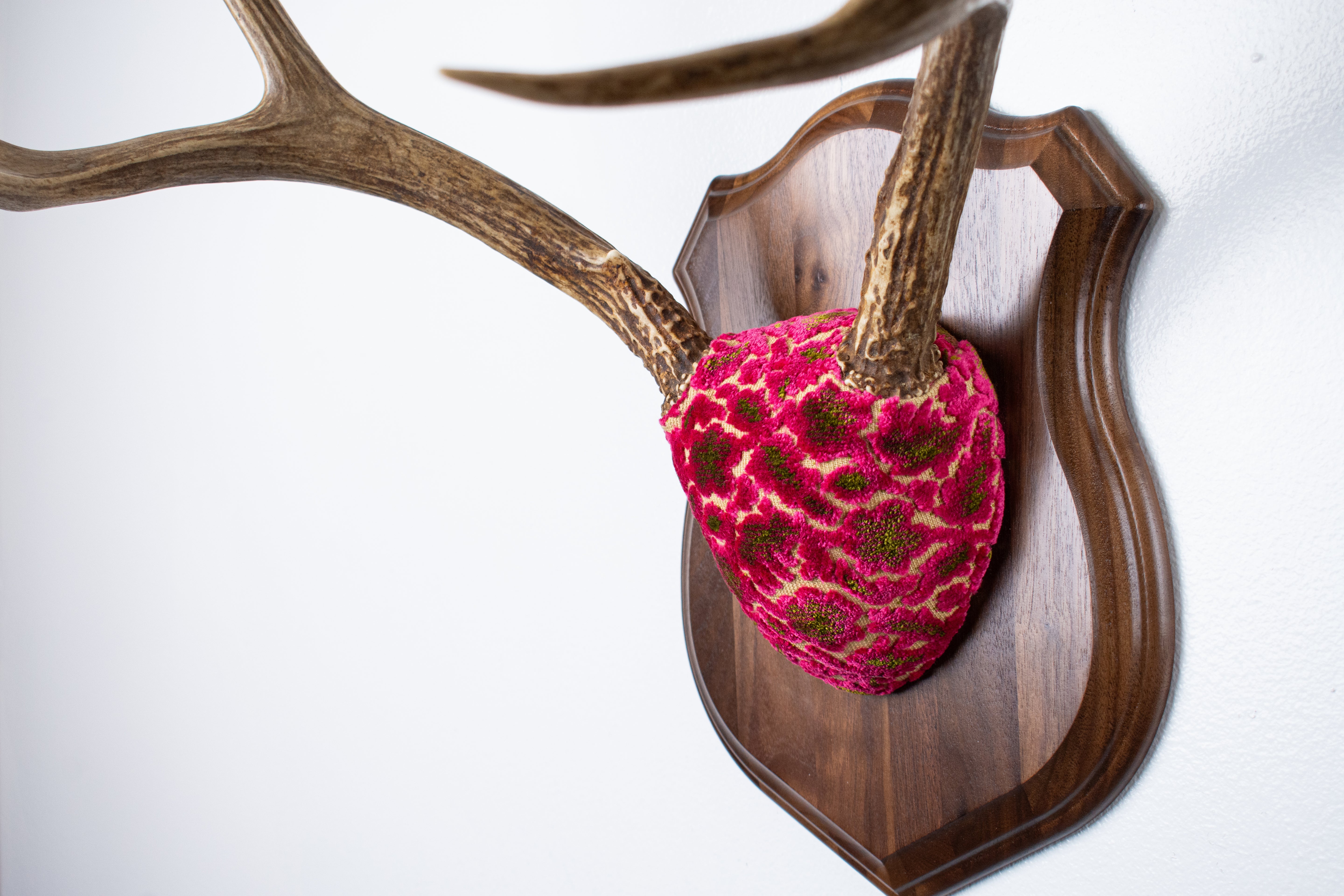 Mule Deer Antler Mount | Magenta & Olive | 10
