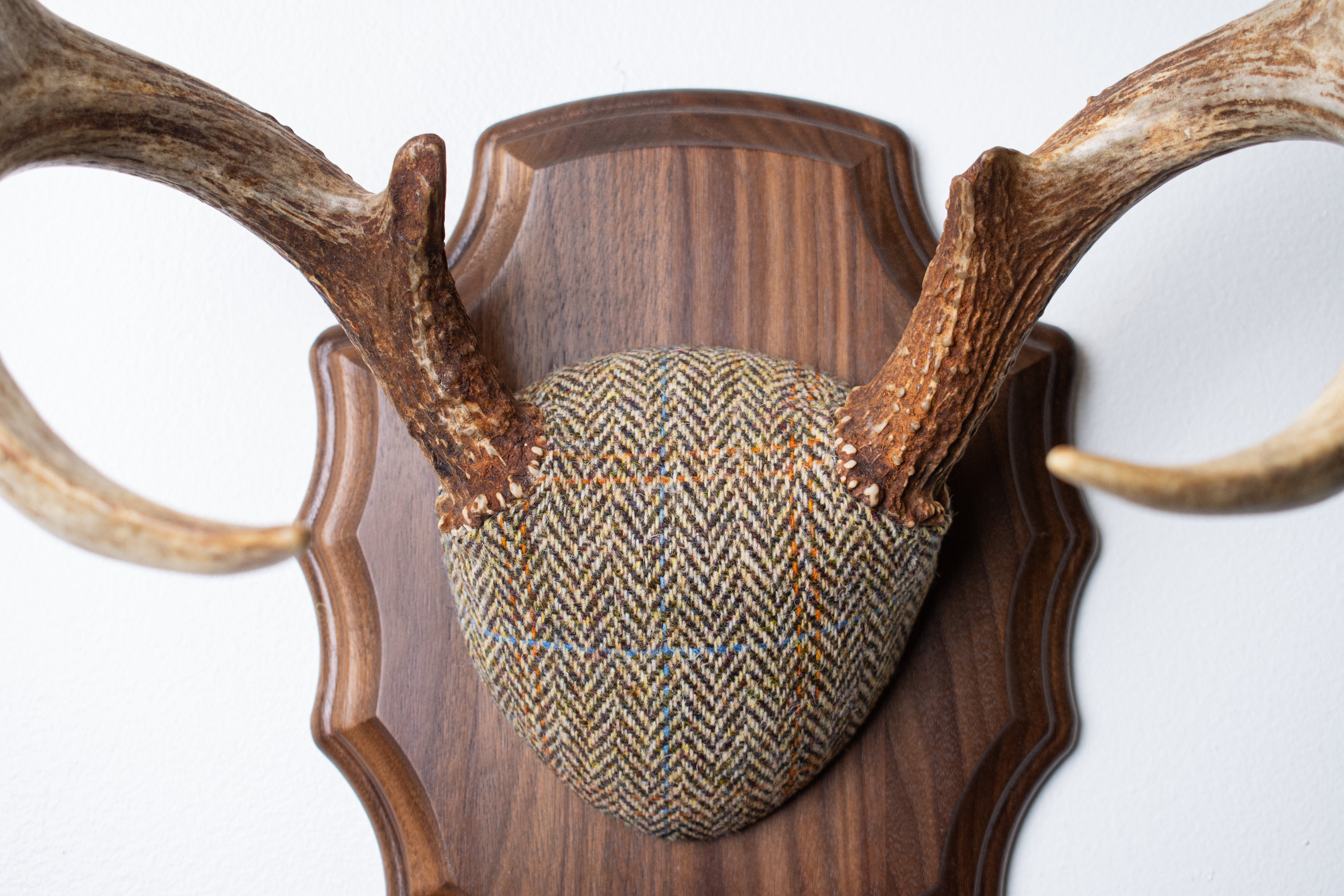 Whitetail Antler Mount | Brown Herringbone | 20