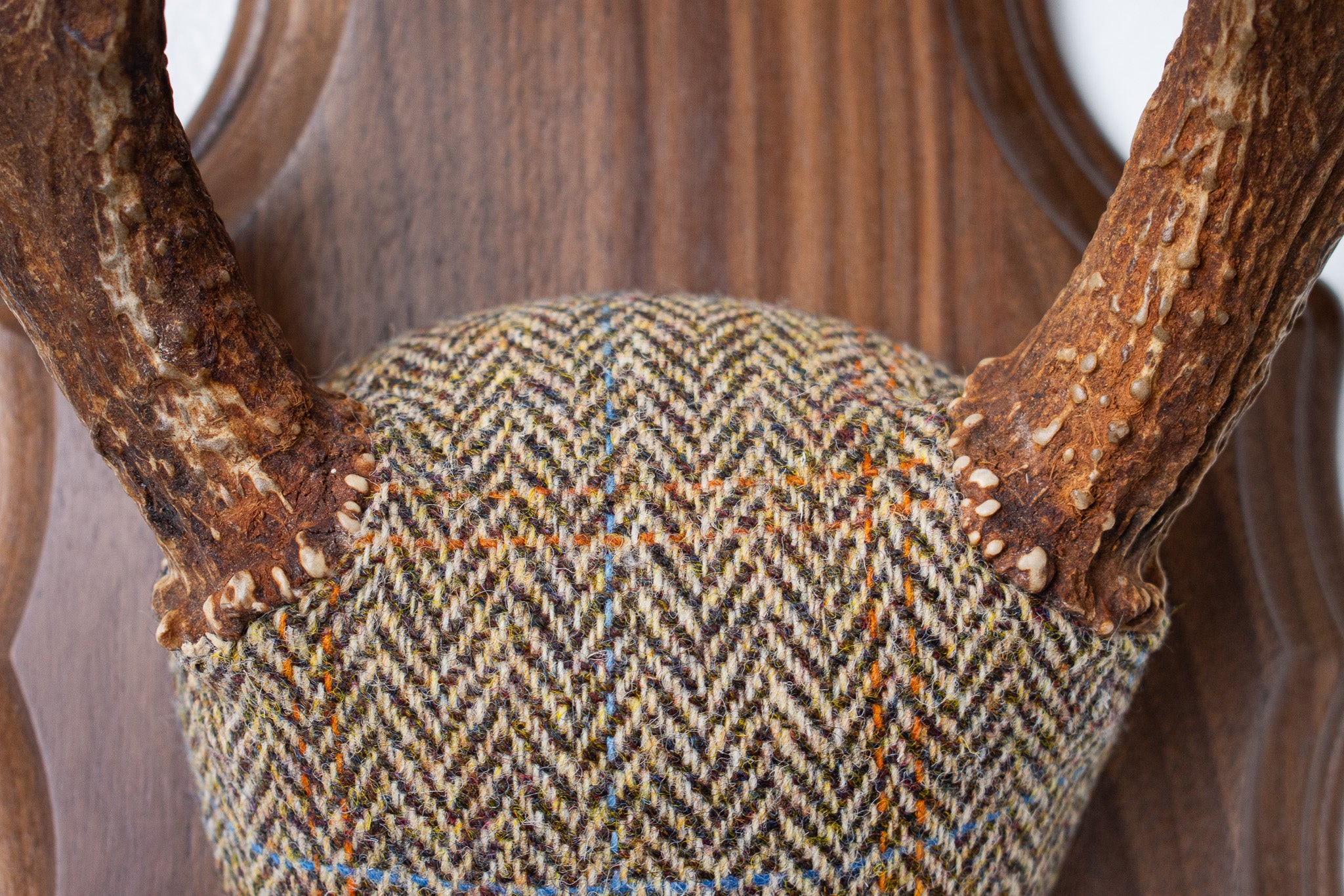 Whitetail Antler Mount | Brown Herringbone | 20