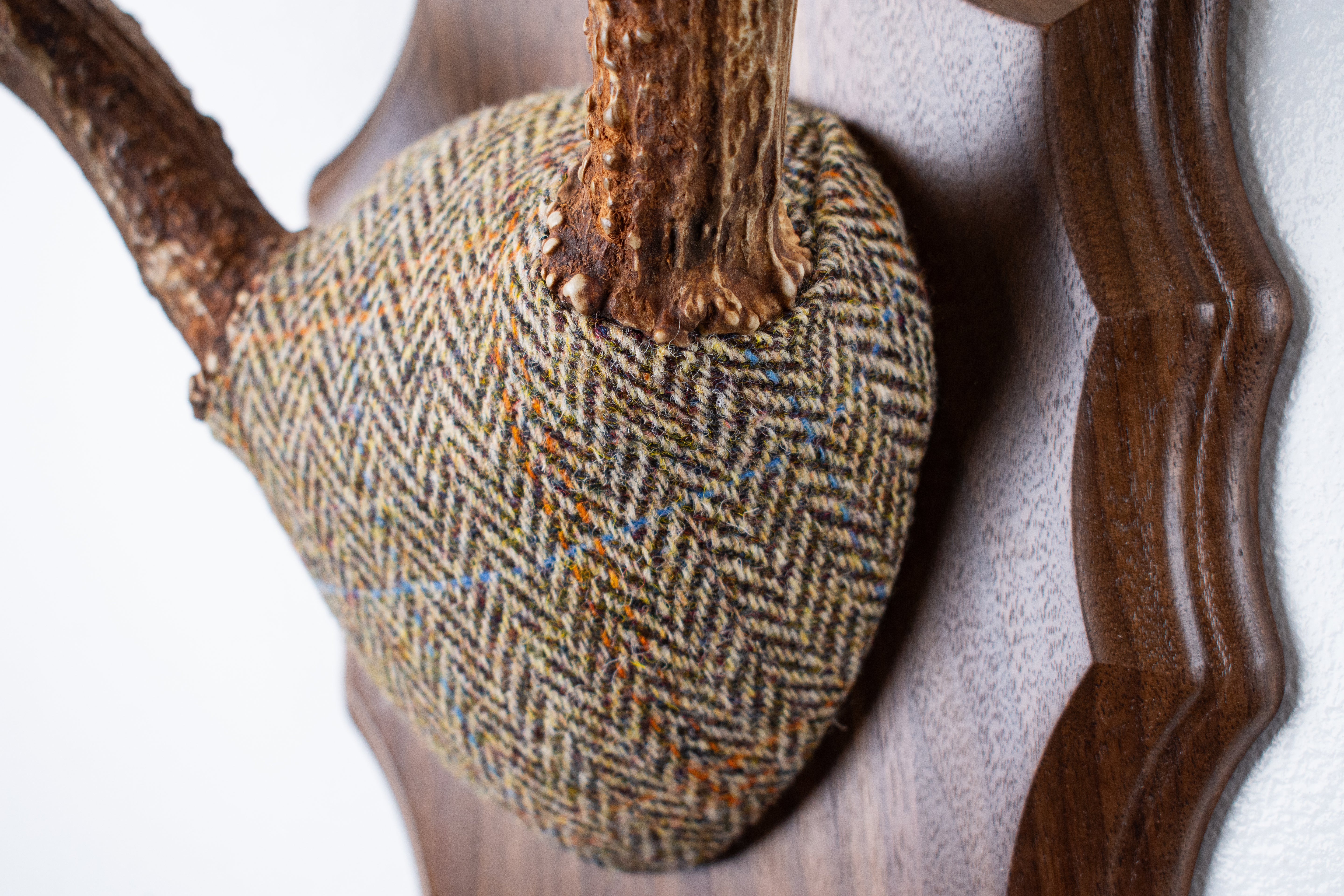 Whitetail Antler Mount | Brown Herringbone | 20