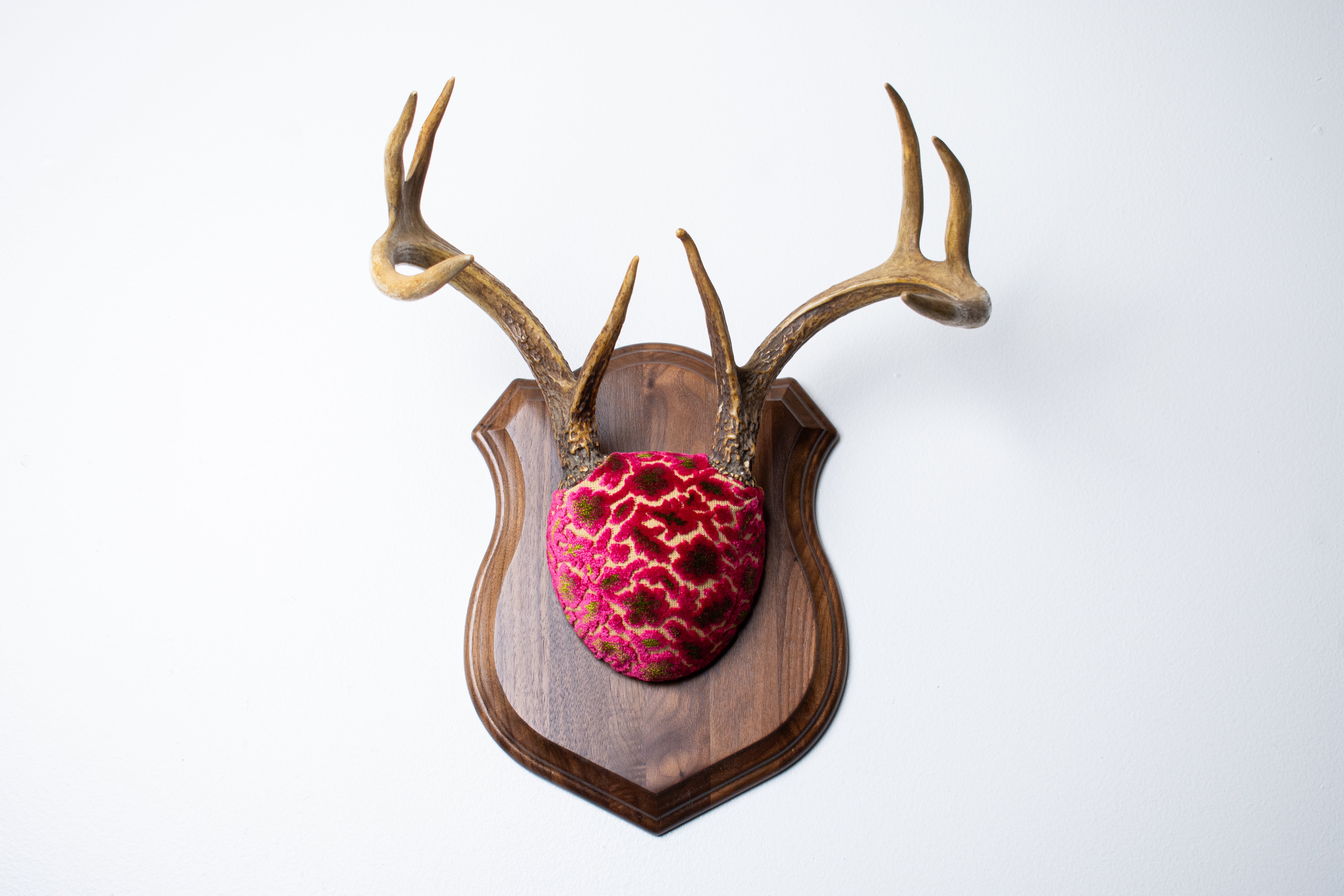 Whitetail Deer Antler Mount | Magenta & Olive | 08