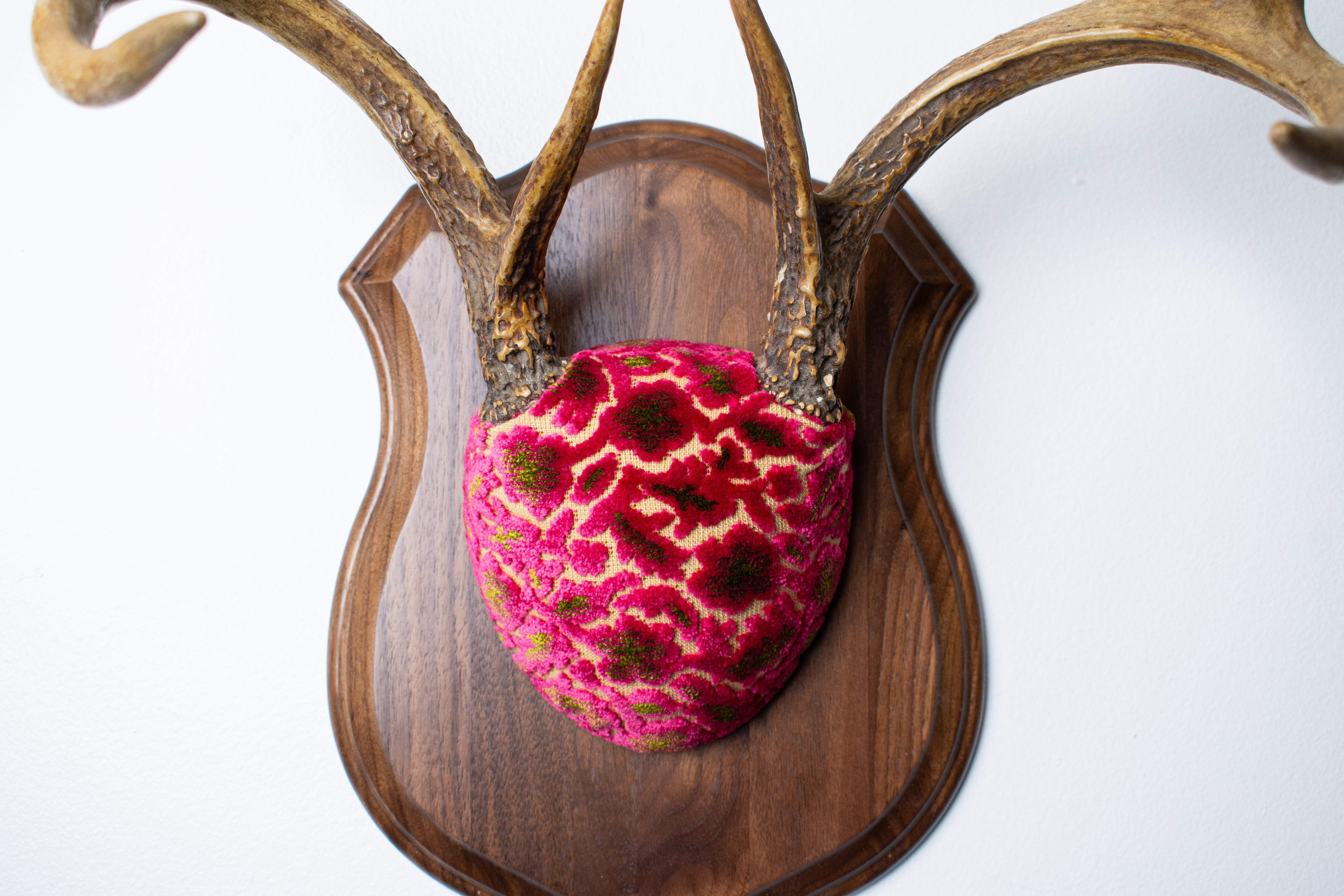 Whitetail Deer Antler Mount | Magenta & Olive | 08