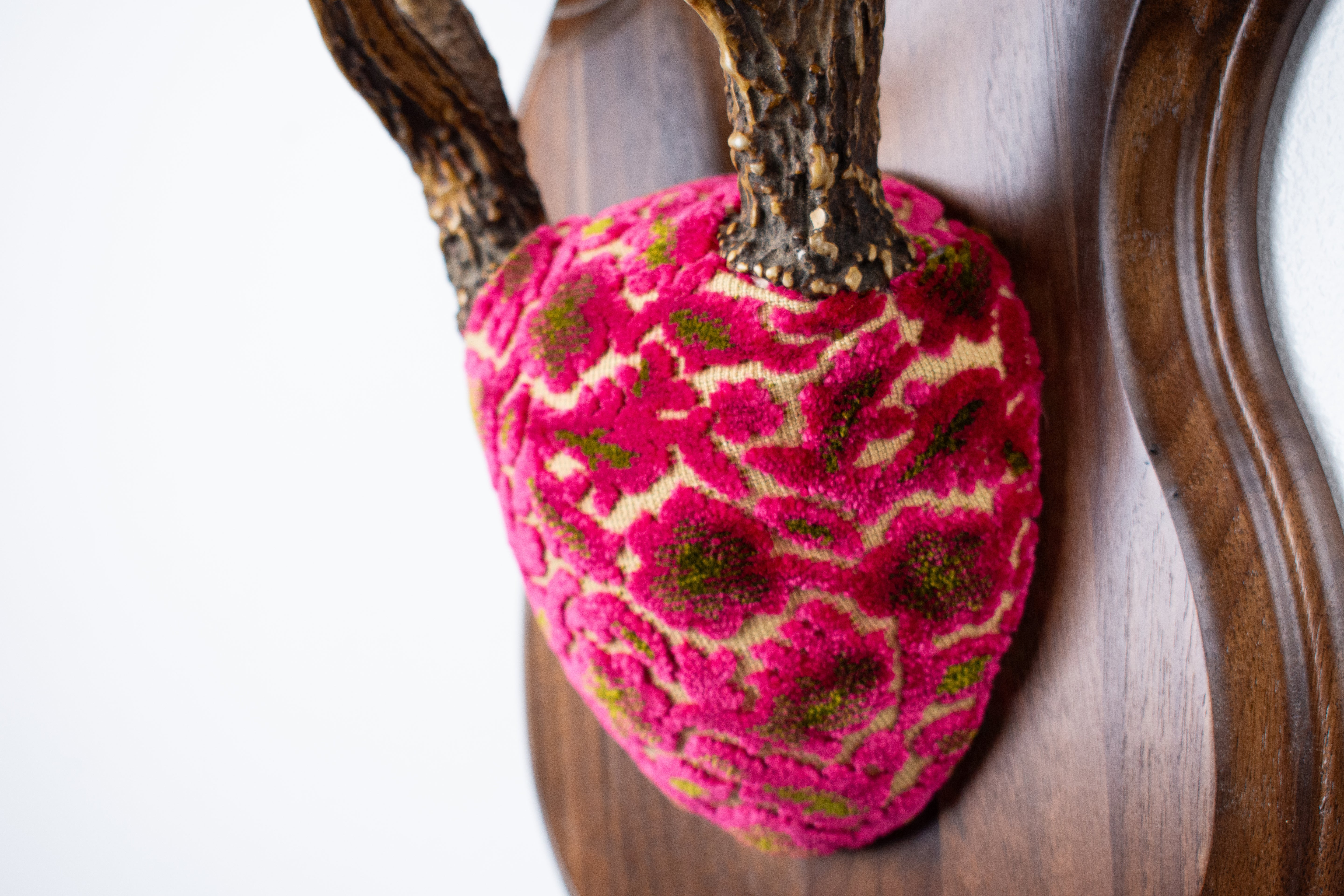 Whitetail Deer Antler Mount | Magenta & Olive | 08