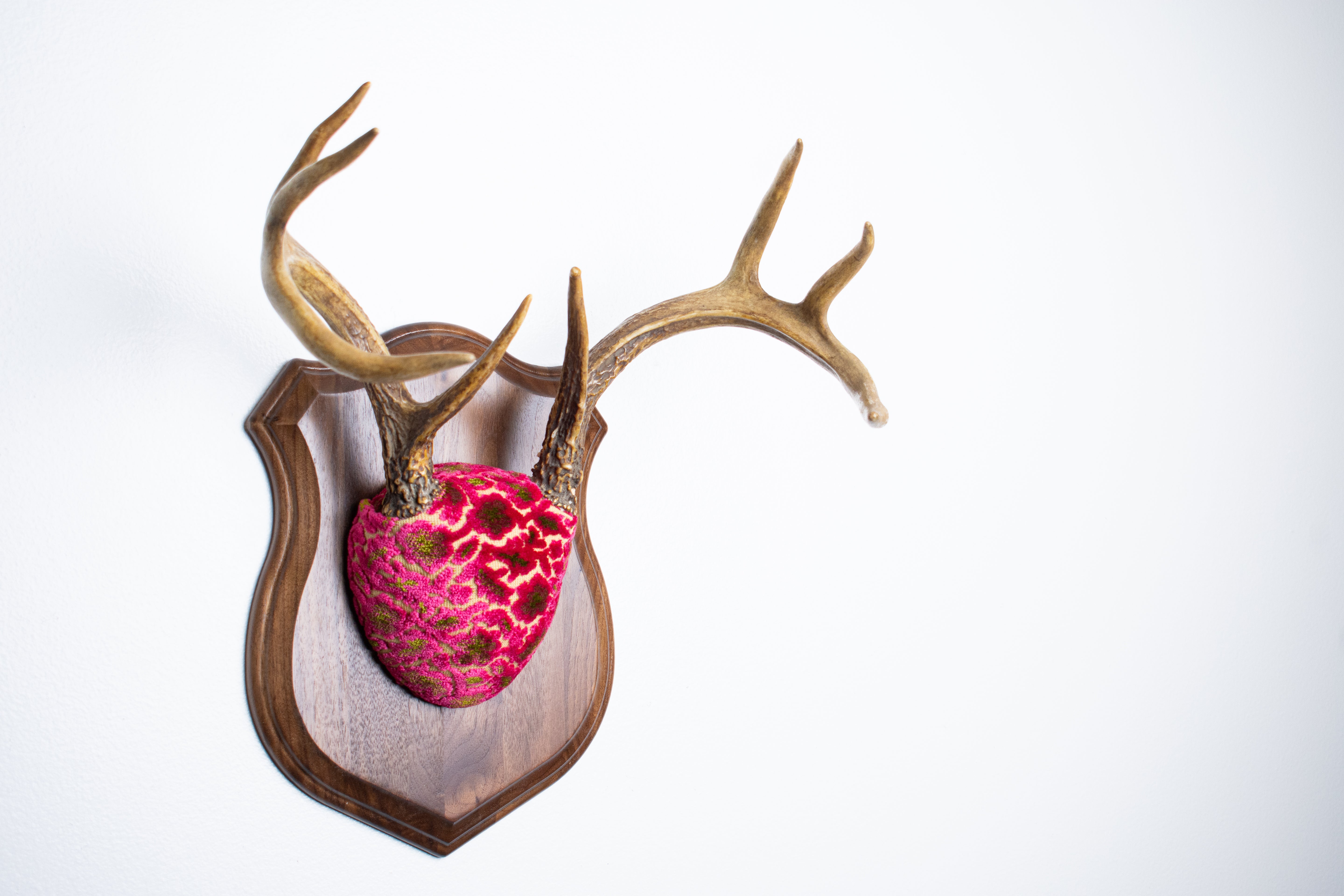 Whitetail Deer Antler Mount | Magenta & Olive | 08
