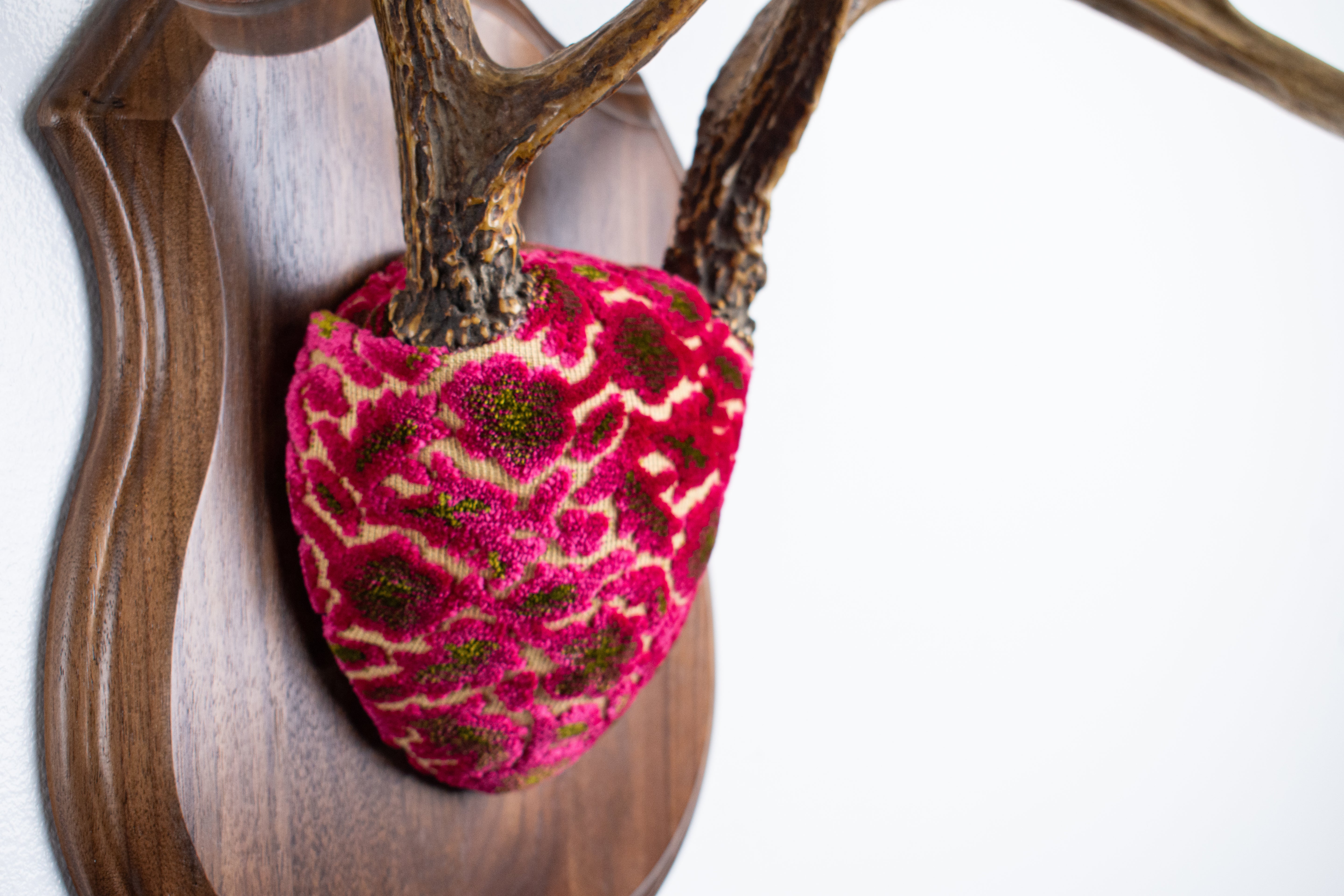 Whitetail Deer Antler Mount | Magenta & Olive | 08