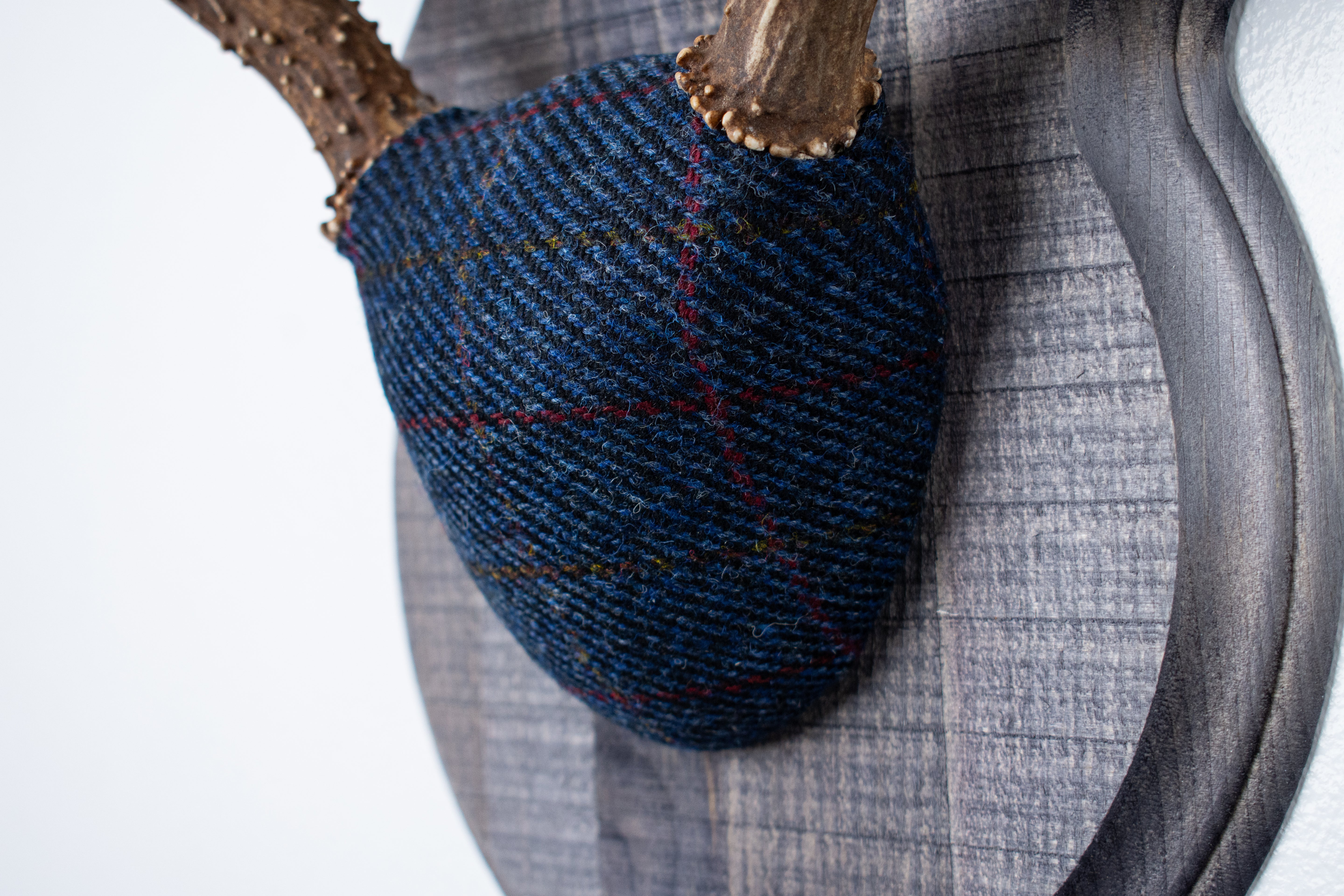 Mule Deer Antler Mount | Blue with Red Overcheck | 27