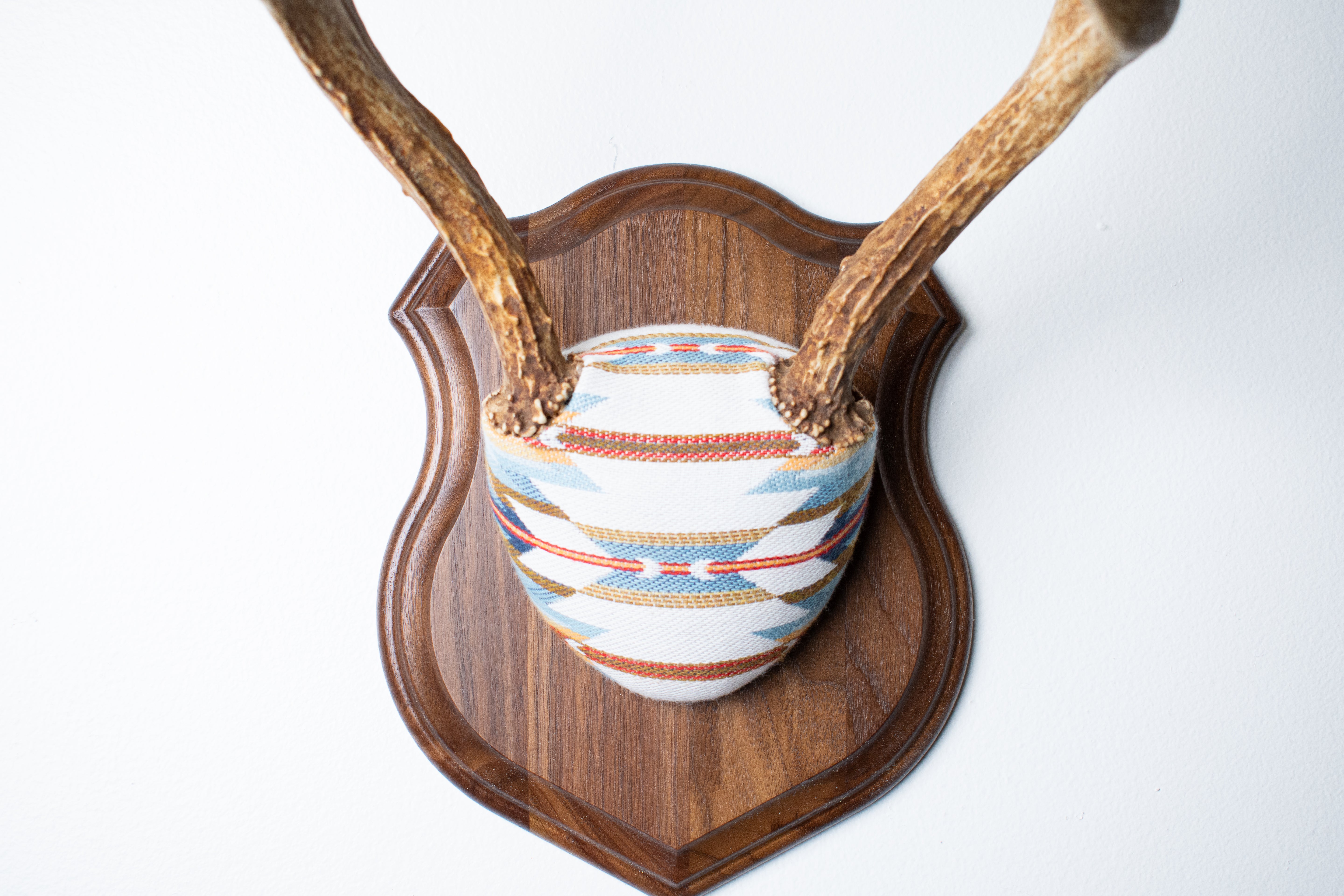 Mule Deer Antler Mount | Sunset | 05