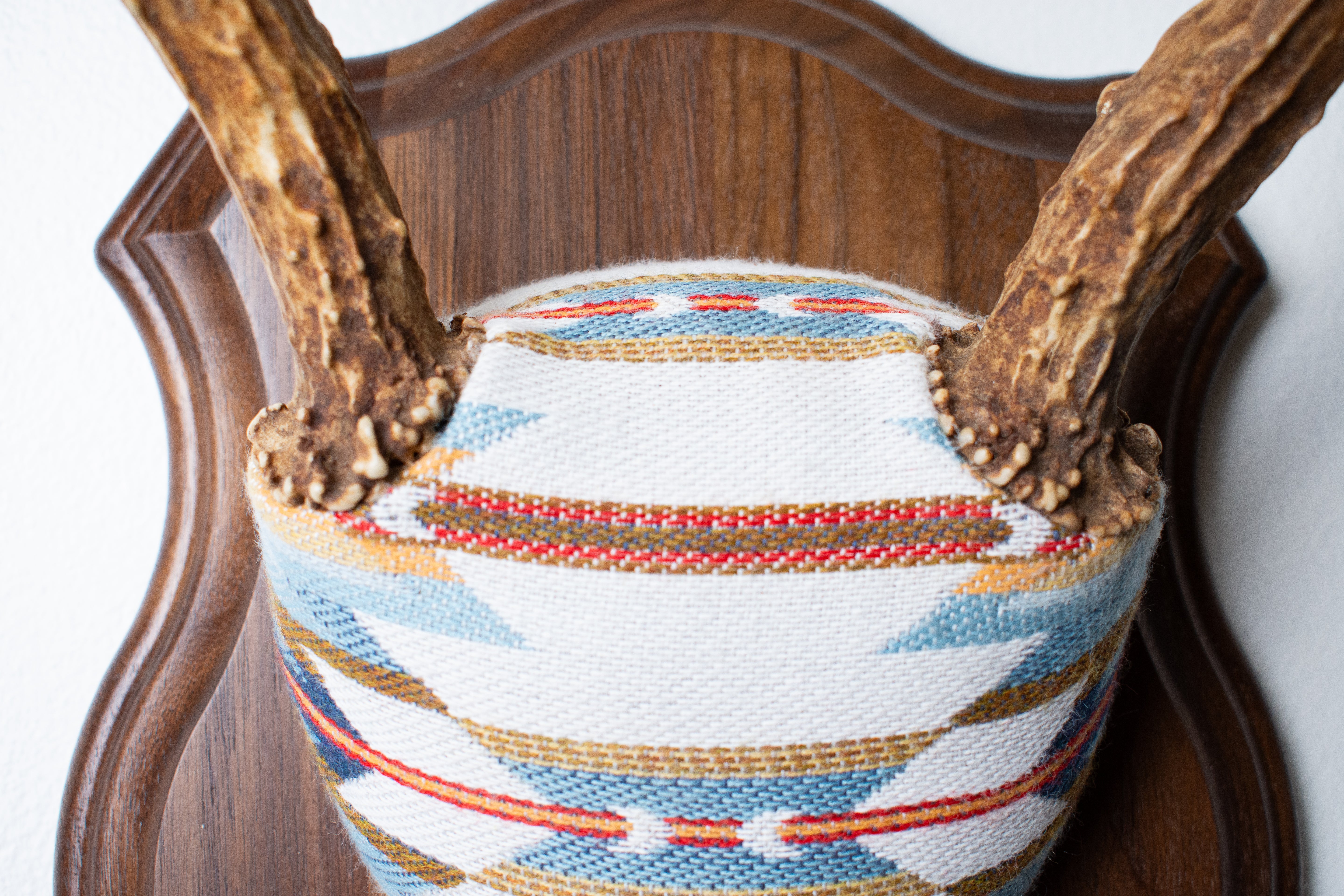 Mule Deer Antler Mount | Sunset | 05