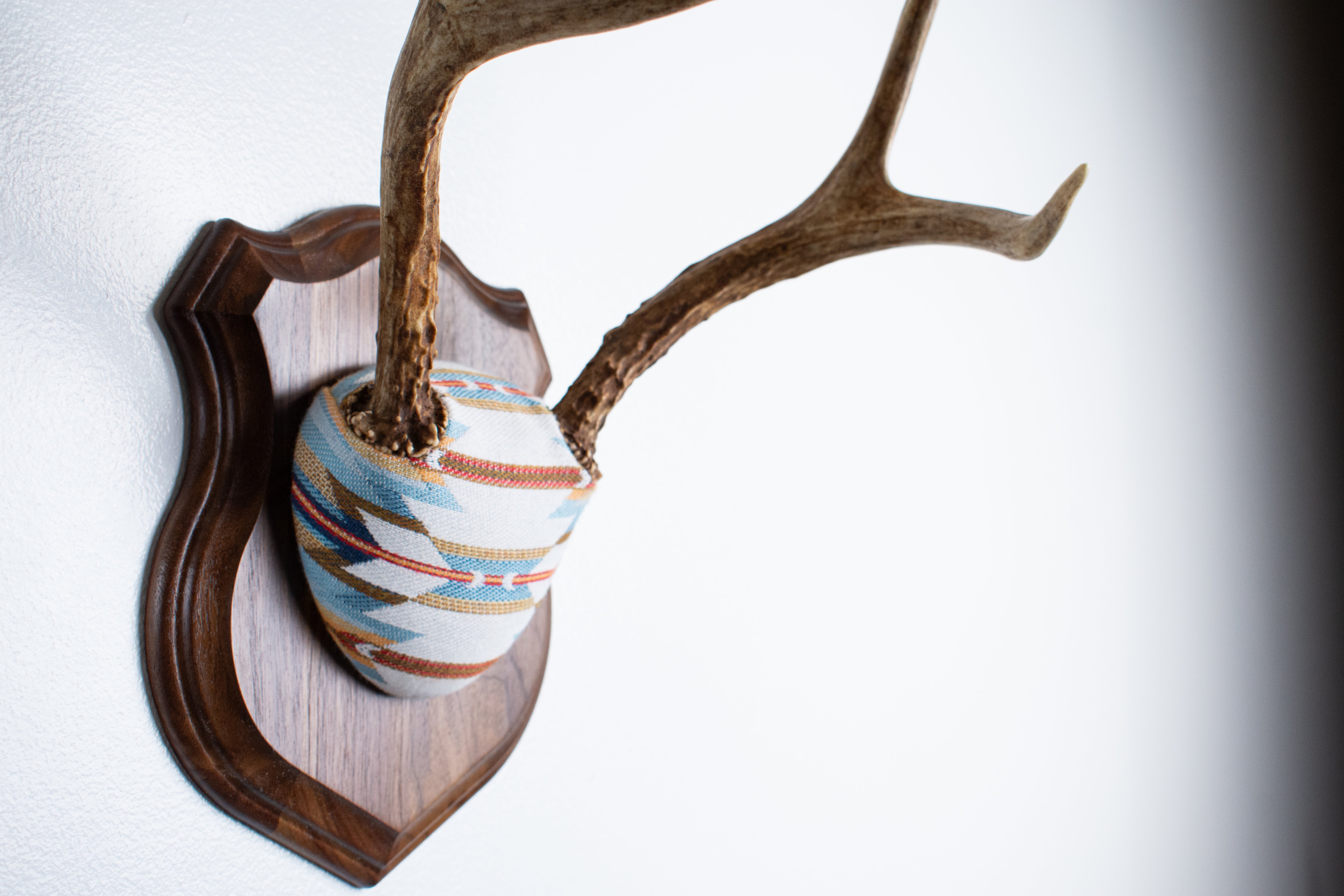 Mule Deer Antler Mount | Sunset | 05