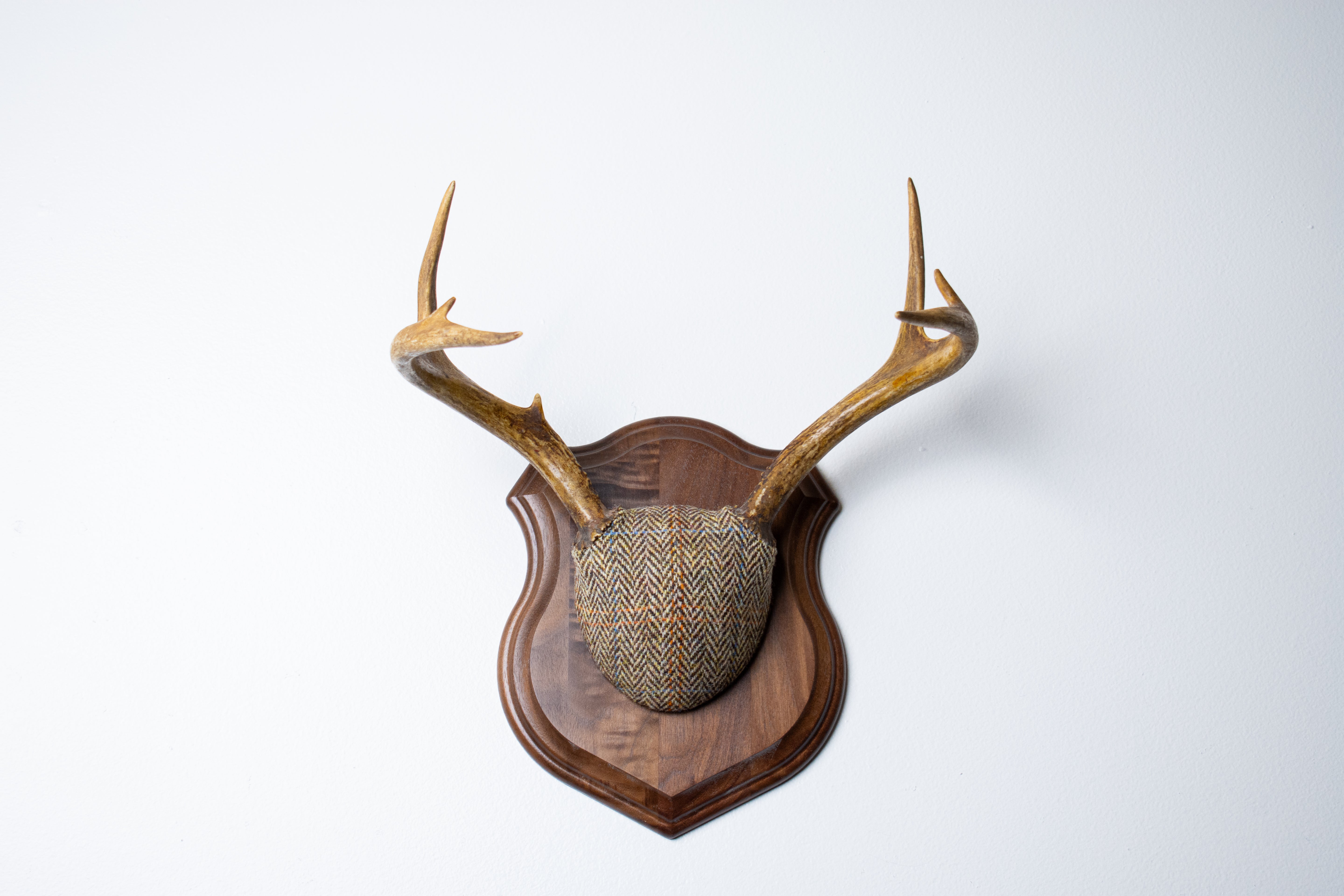 Whitetail Deer Antler Mount | Brown Herringbone | 26