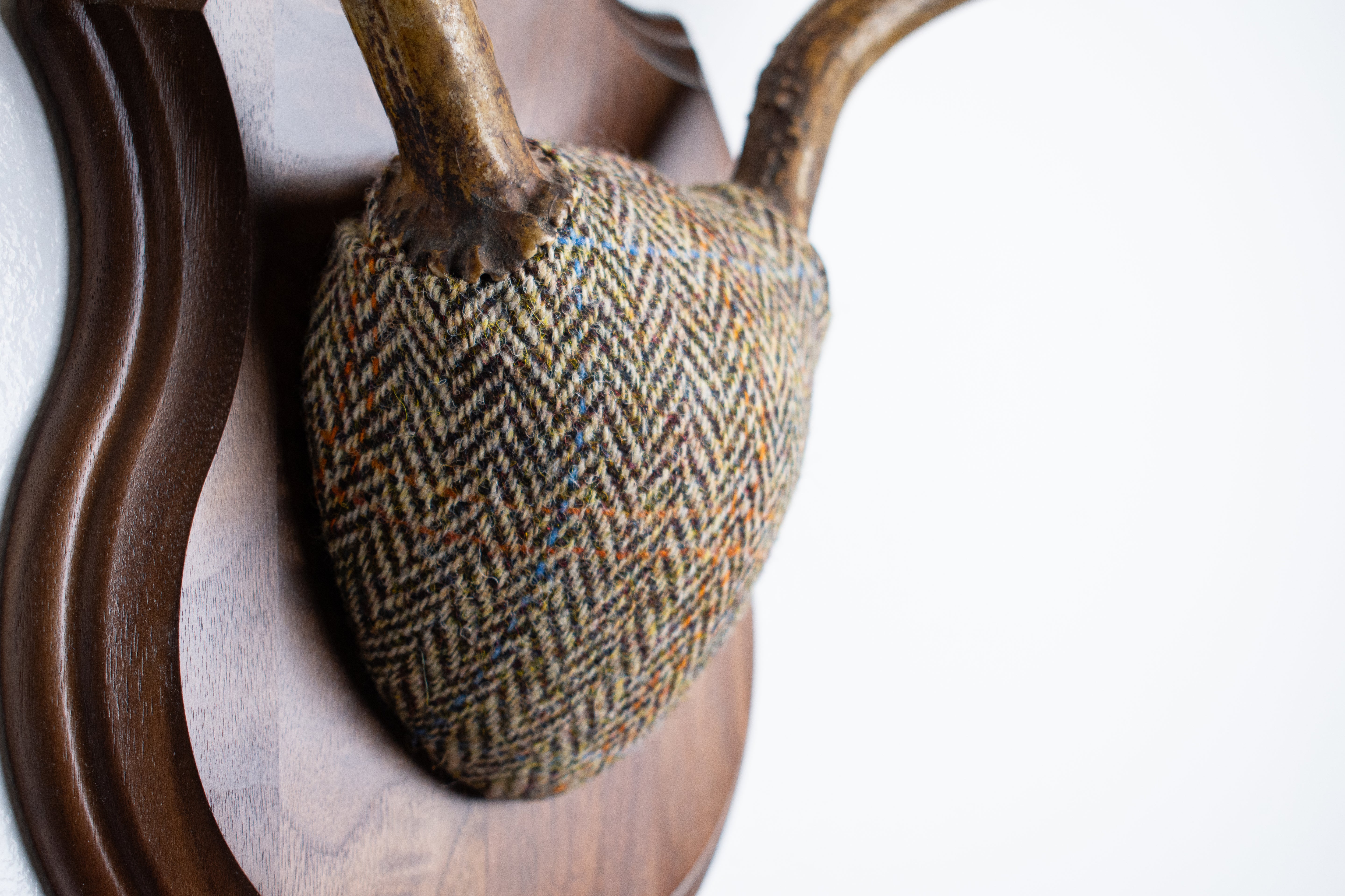 Whitetail Deer Antler Mount | Brown Herringbone | 26