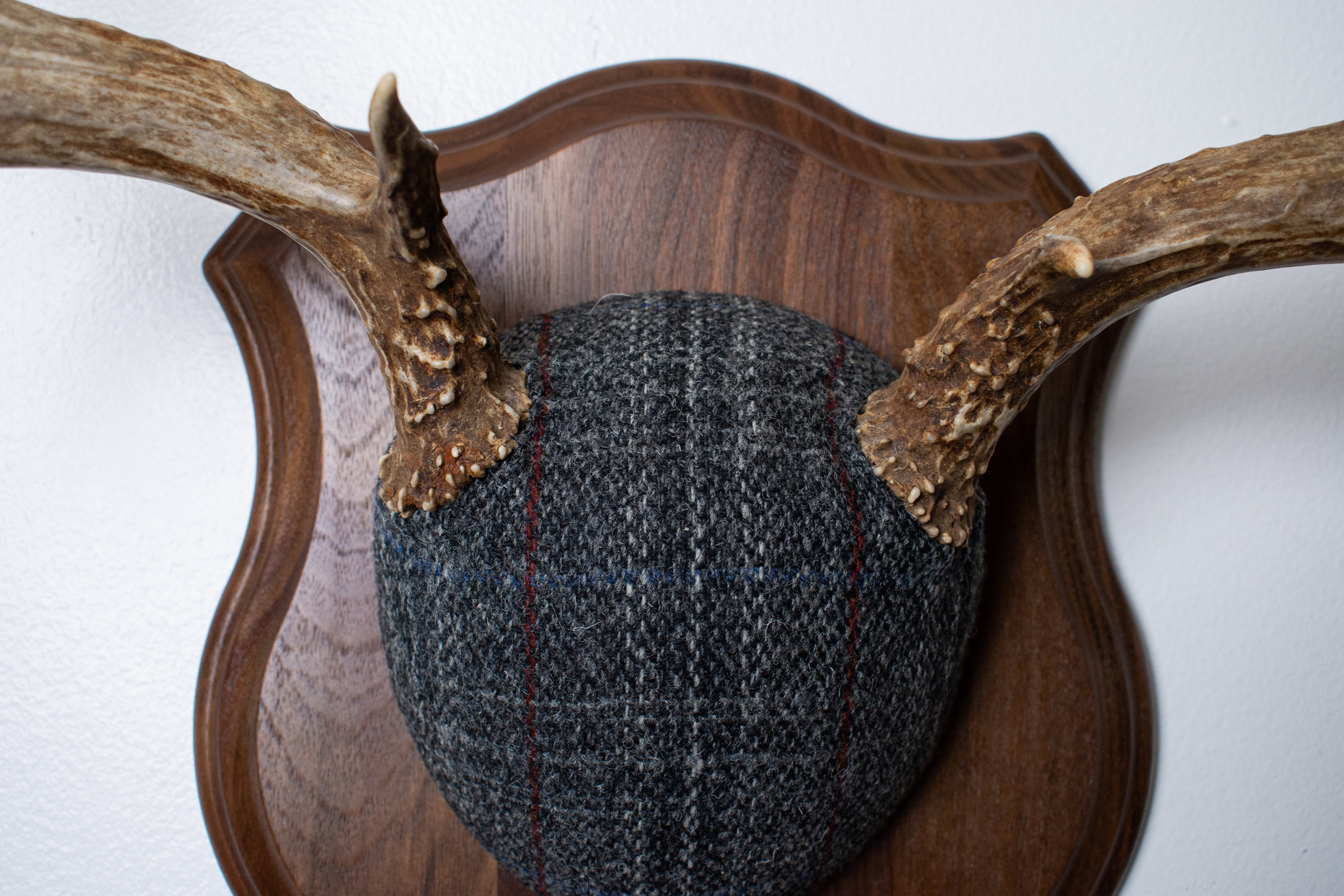 Mule Deer Antler Mount | Grey with Red Overcheck Herringbone | 24